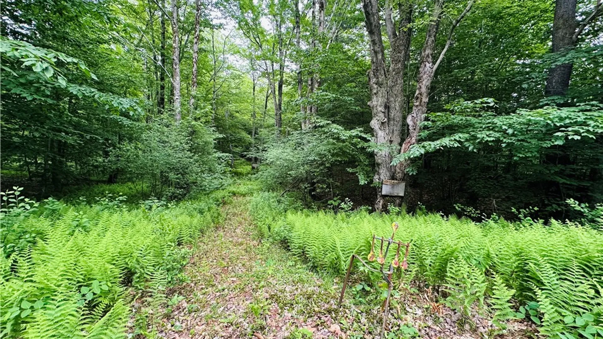 Property at 0 Balch Road, Boylston, NY 13083 7