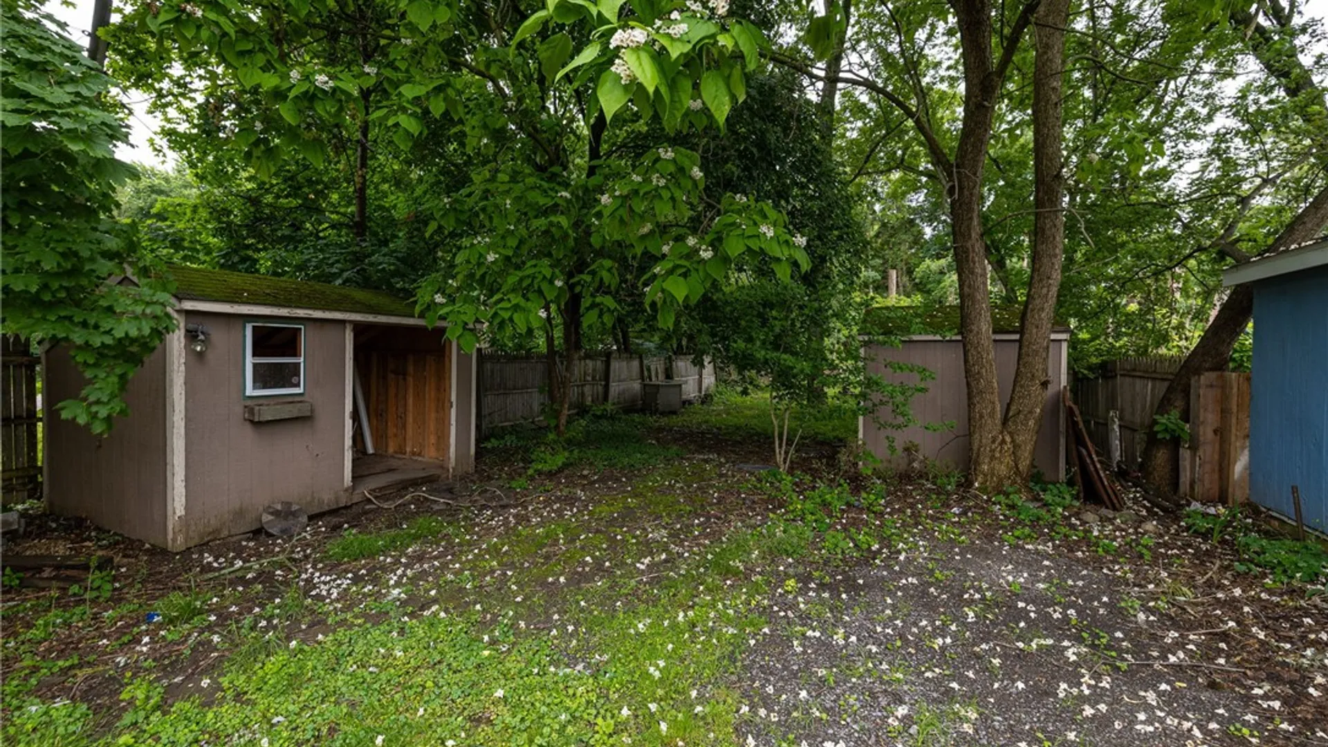 Property at 409 E Miller Street, Arcadia, NY 14513 23