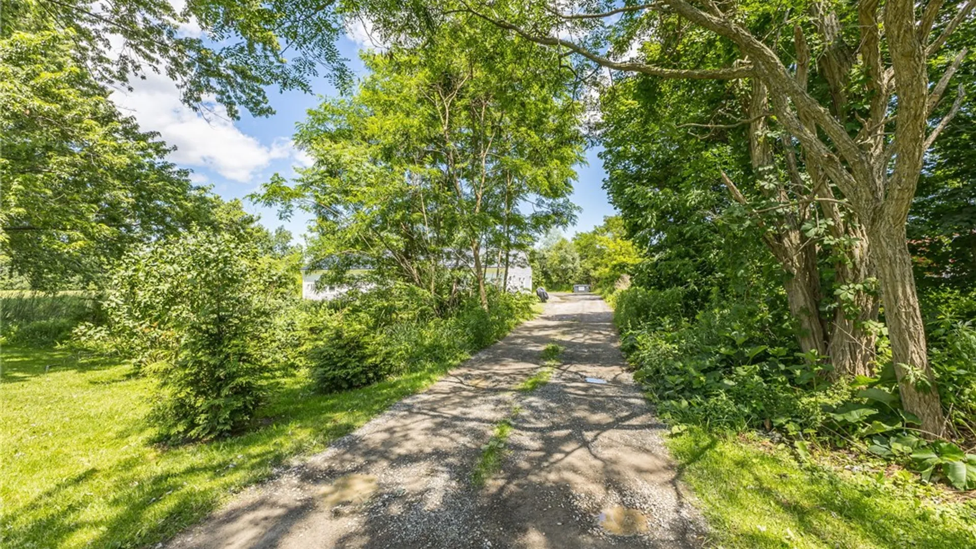 Property at 2891 State Route 444, East Bloomfield, NY 14469 36