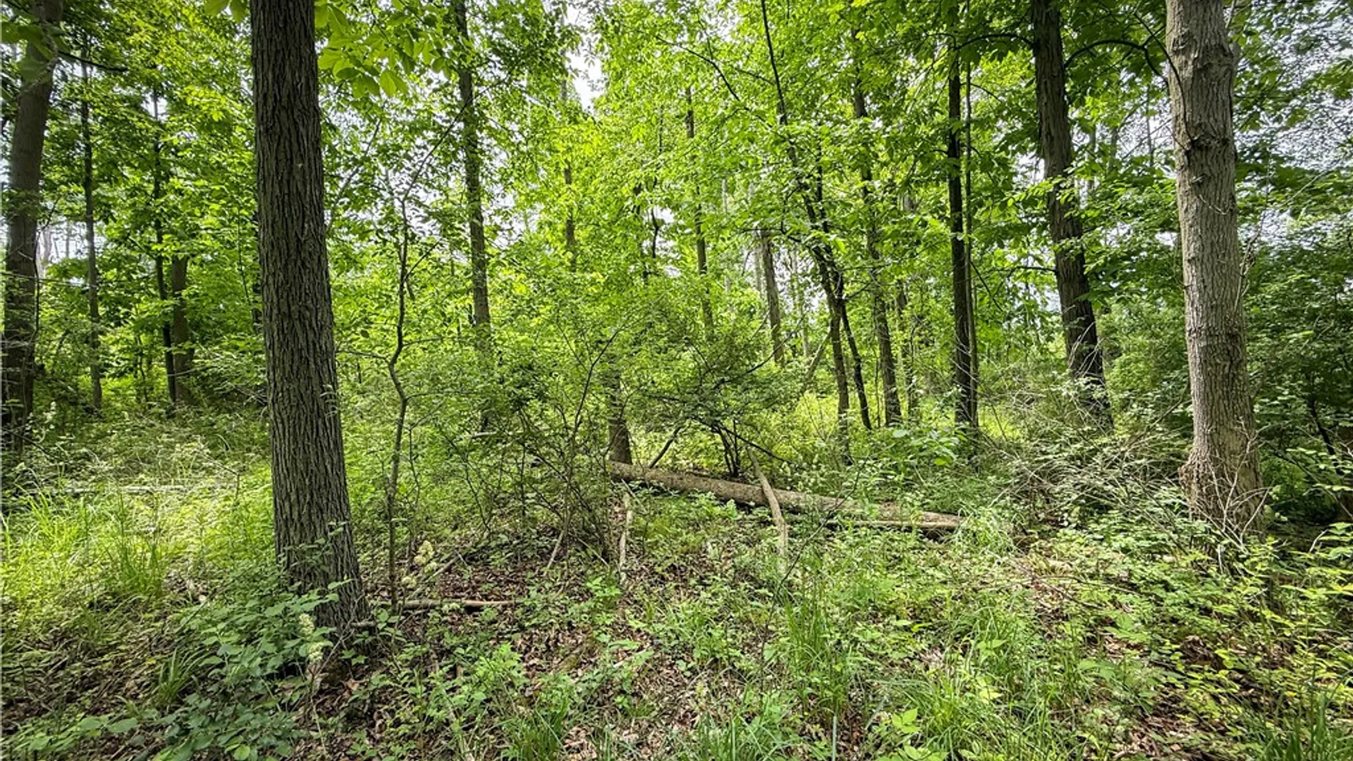 Property at 5401 Old Bath Road, Barrington, NY 14837 23