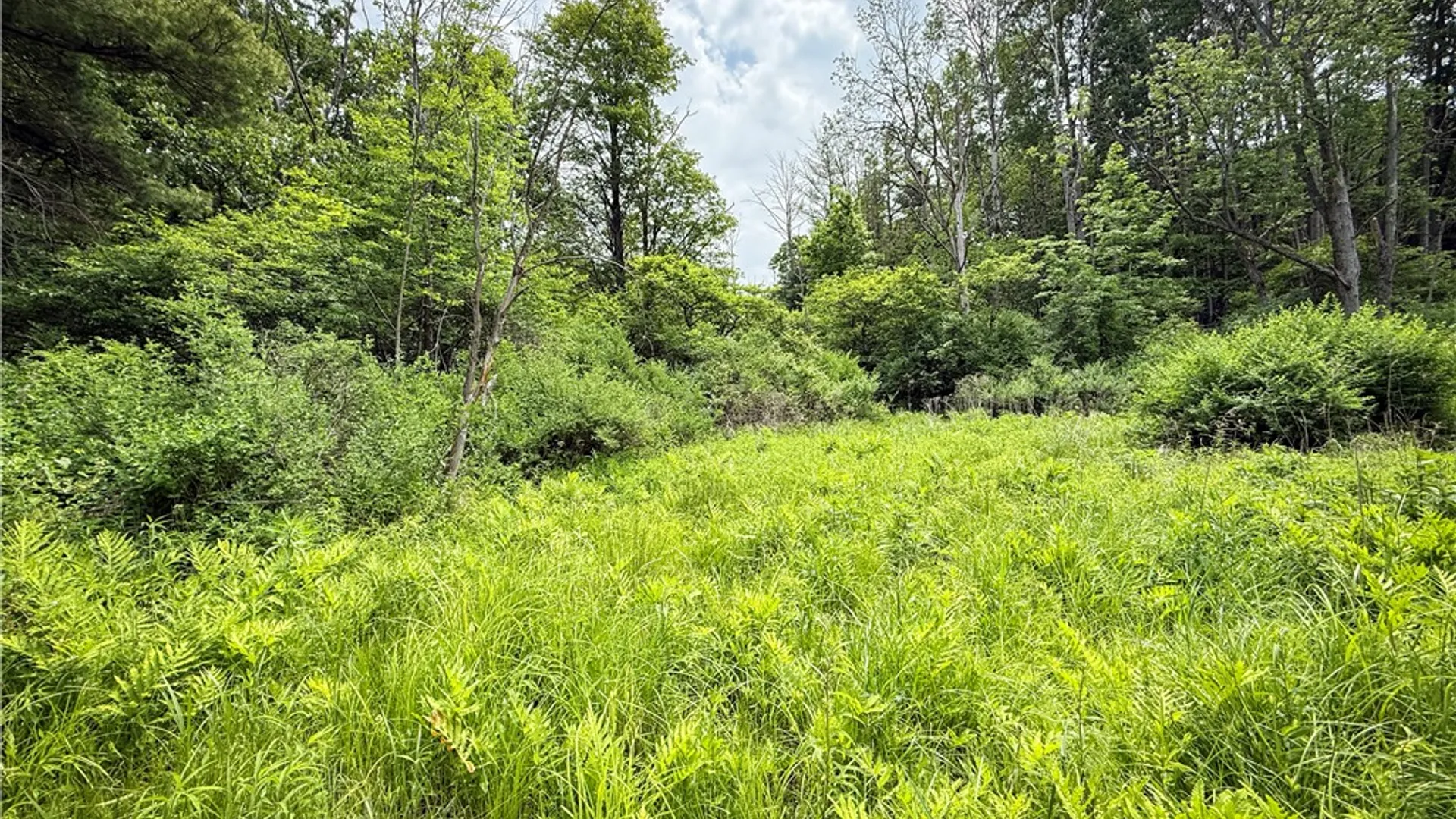 Property at 5401 Old Bath Road, Barrington, NY 14837 24