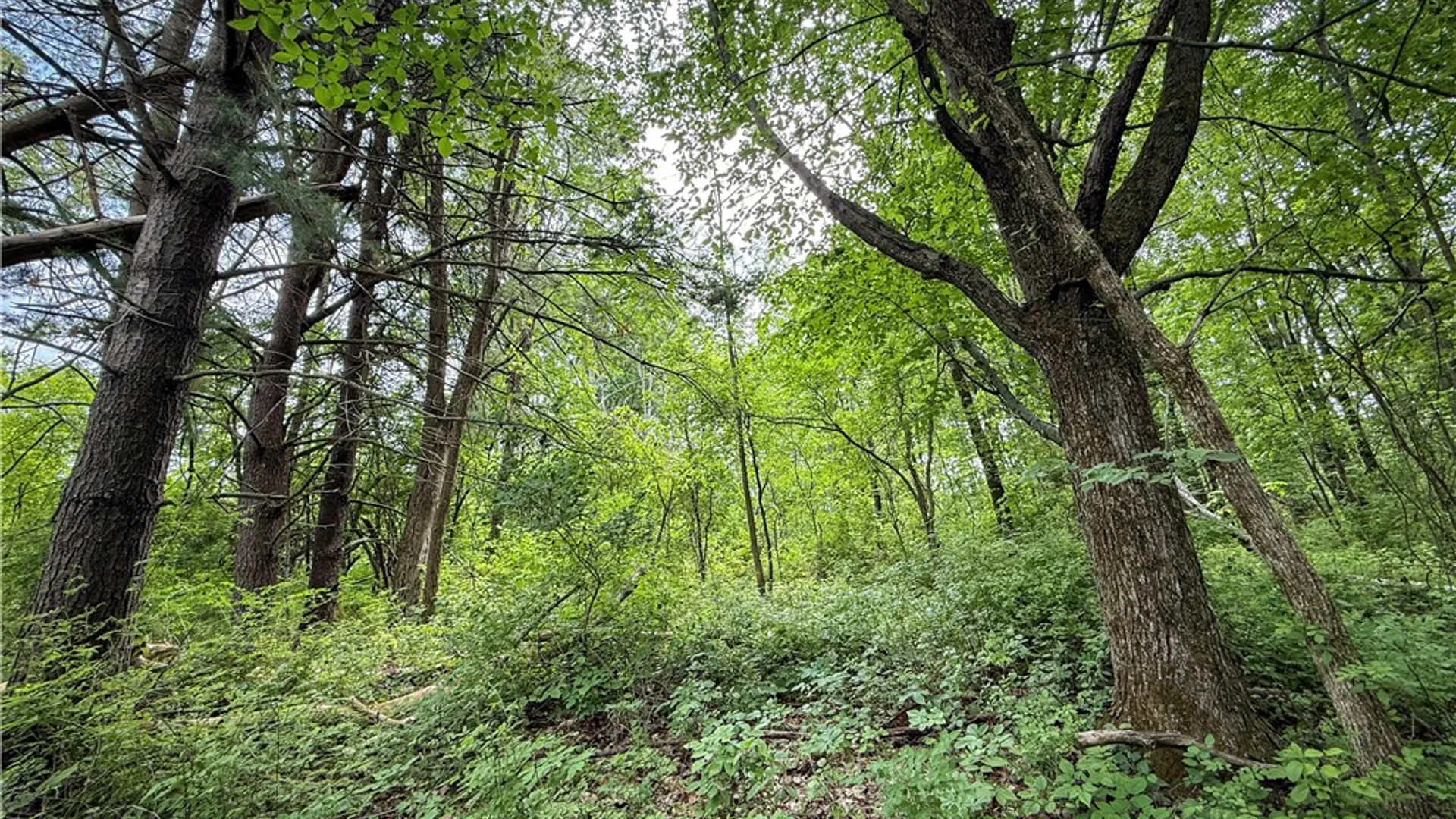 Property at 5401 Old Bath Road, Barrington, NY 14837 26