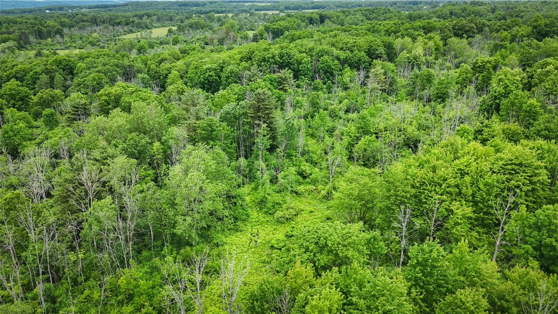 Property at 5401 Old Bath Road, Barrington, NY 14837 29