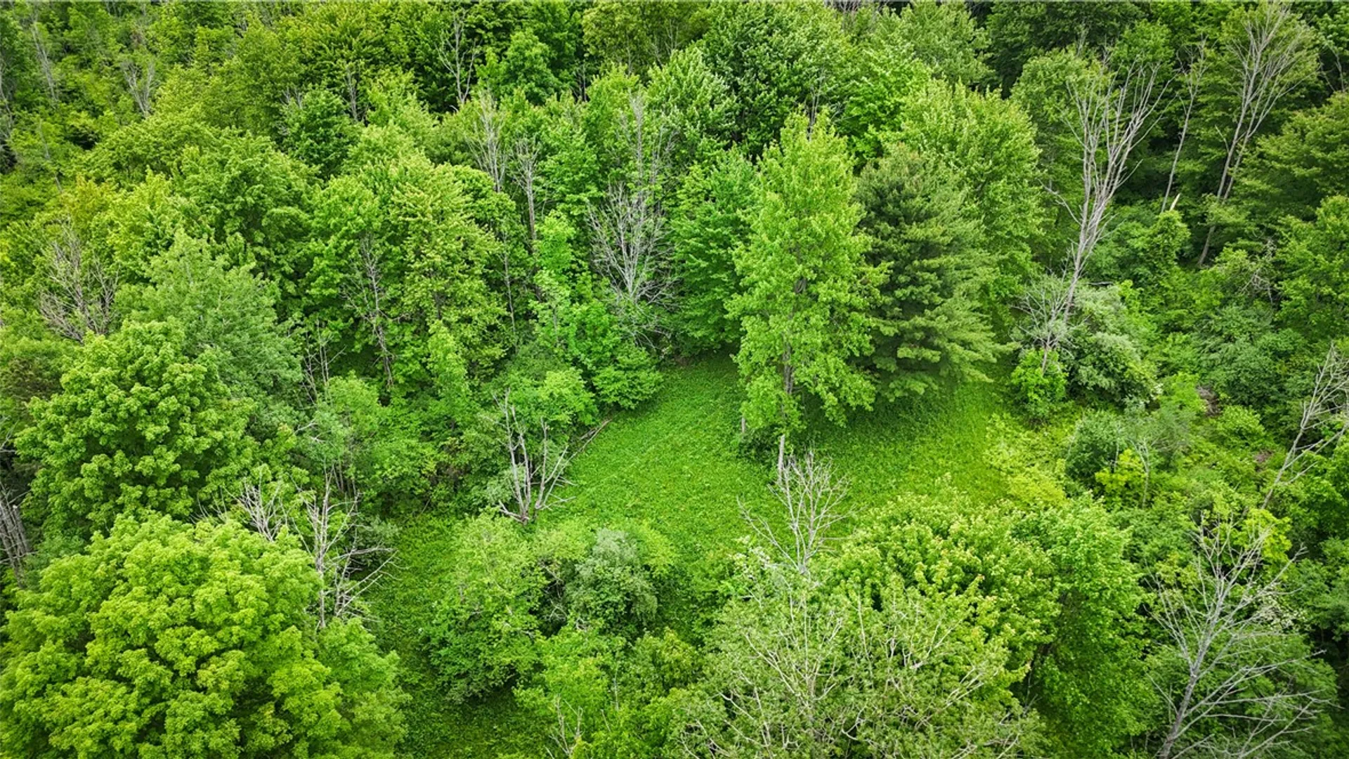 Property at 5401 Old Bath Road, Barrington, NY 14837 30
