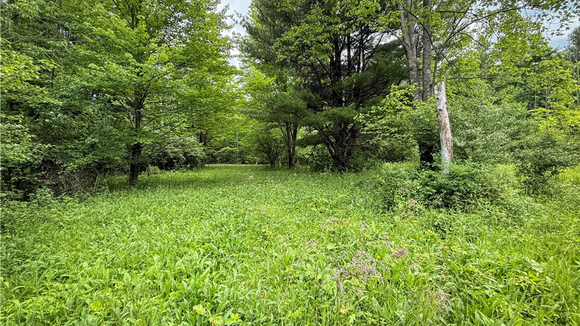 Property at 5401 Old Bath Road, Barrington, NY 14837 34