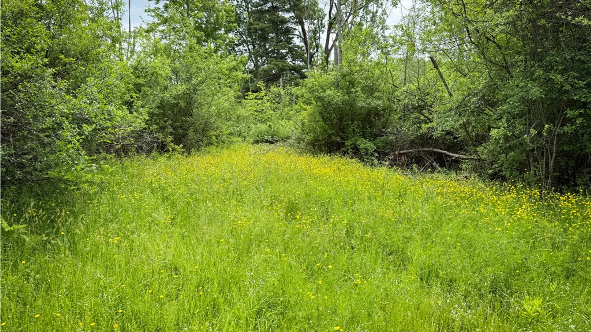 Property at 5401 Old Bath Road, Barrington, NY 14837 19