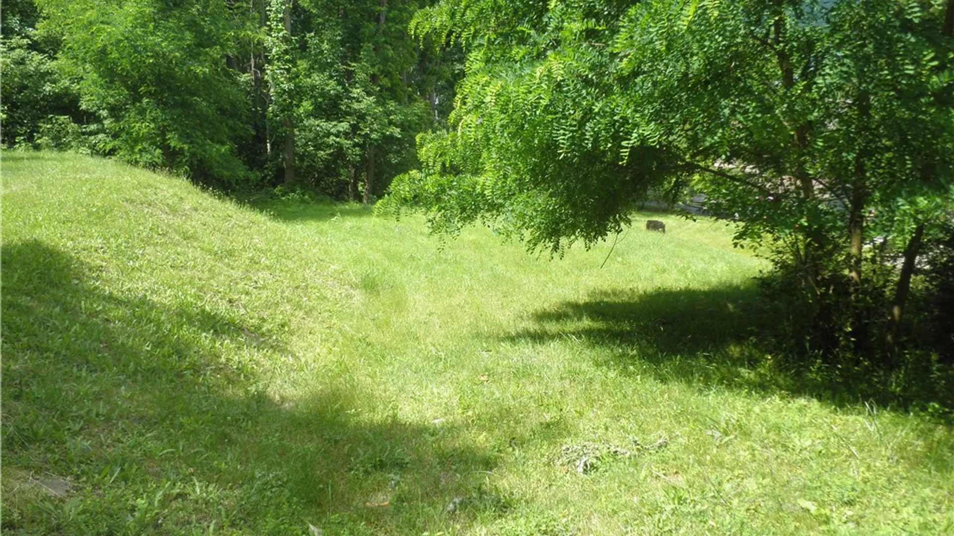 Property at 0 Lake Road, Richmond, NY 14471 6