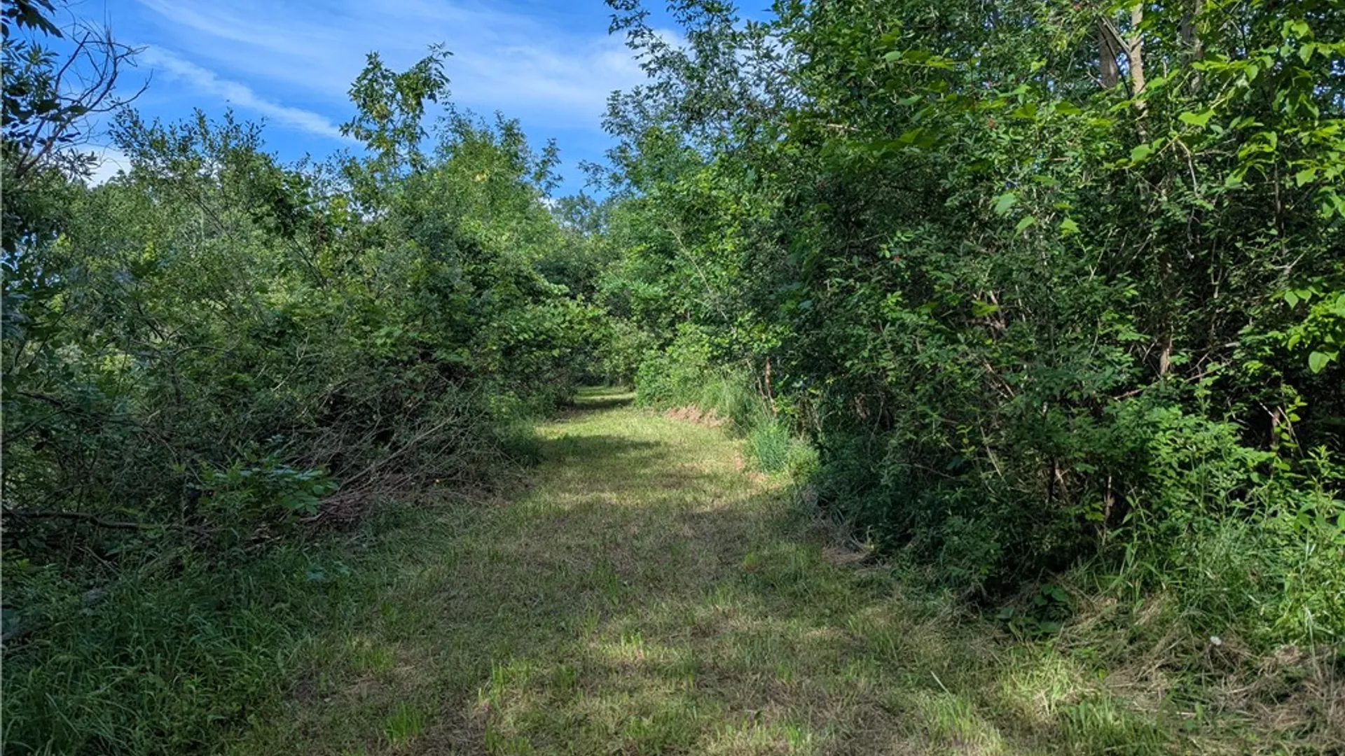 Property at 3512 Densmore Road, Albion, NY 14411 11