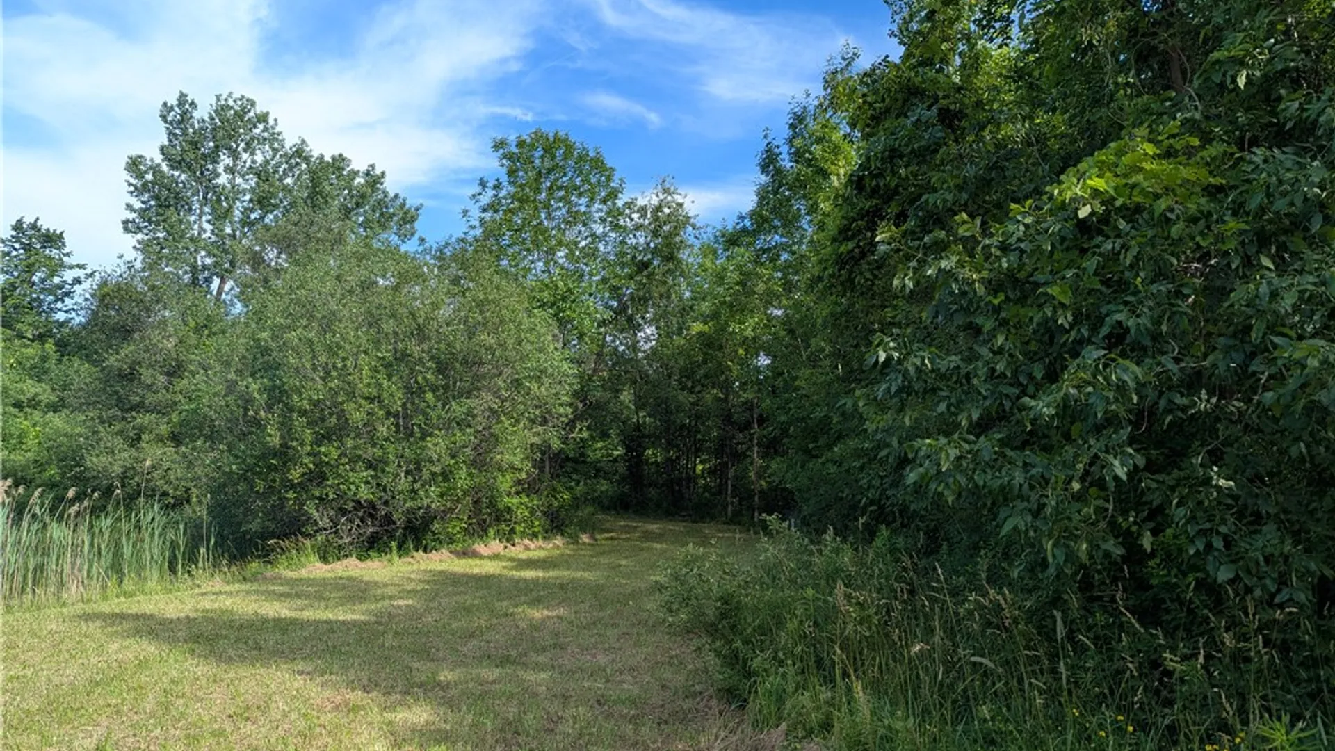 Property at 3512 Densmore Road, Albion, NY 14411 5