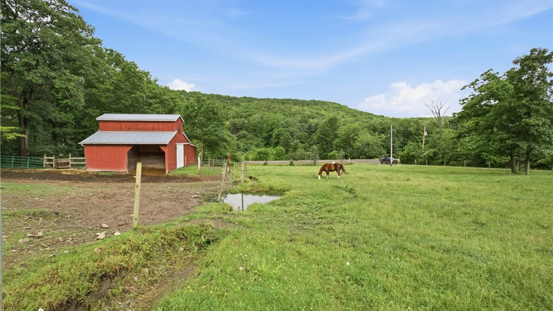 Property at 7820 Harrisburg Hollow Road, Bath, NY 14810 42