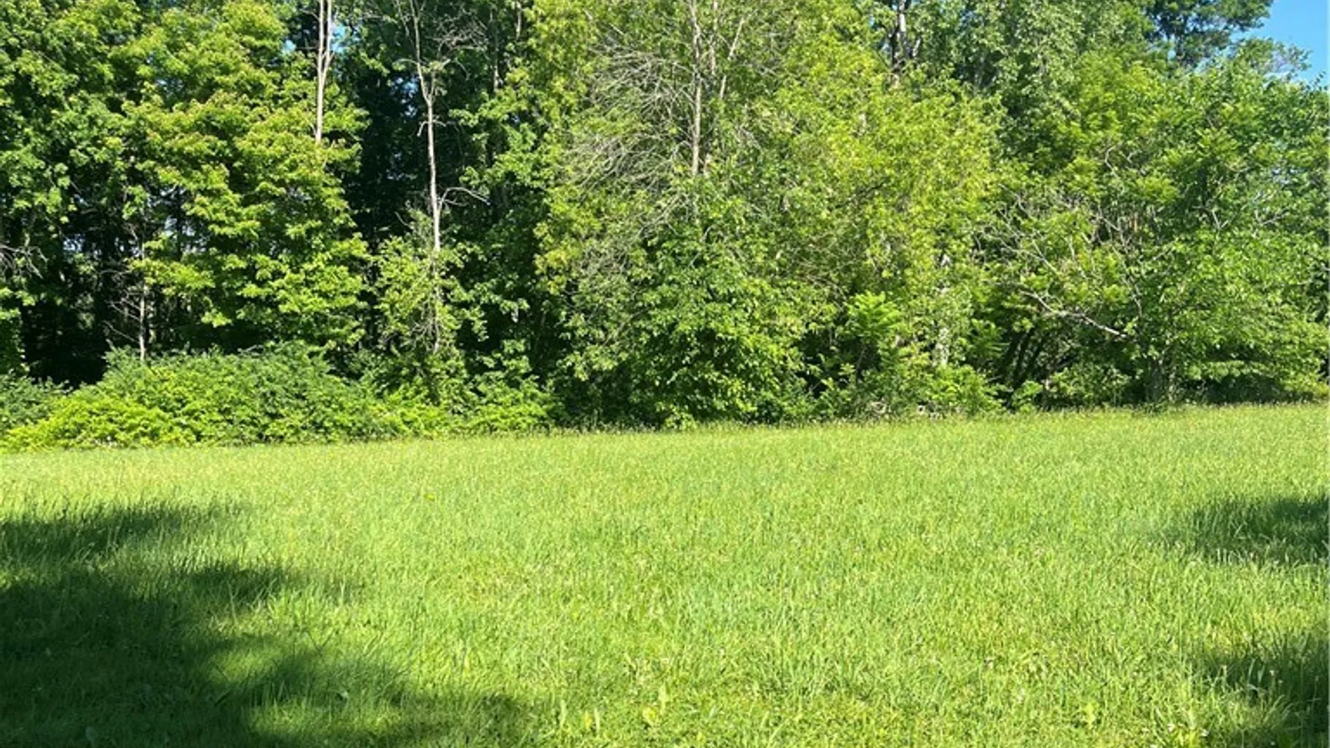 Property at 00 Stickles Lane, Conquest, NY 13140 3