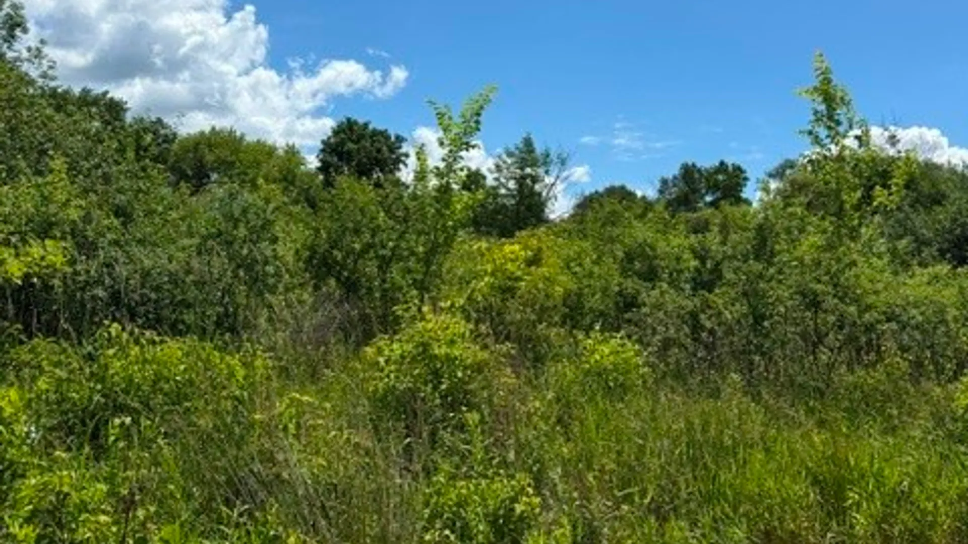 Property at 0 N Triphammer Road, Lansing, NY 14850 6