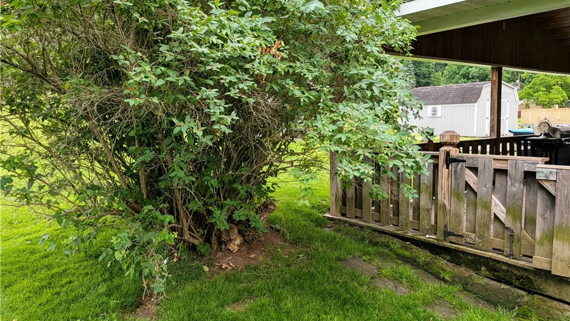 Property at 312 Harrison Street, Port Allegany Boro, PA 16743 10
