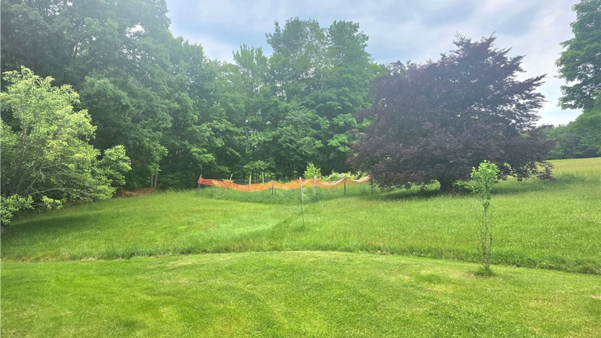 Property at 171 Haskins Road, Erin, NY 14838 3
