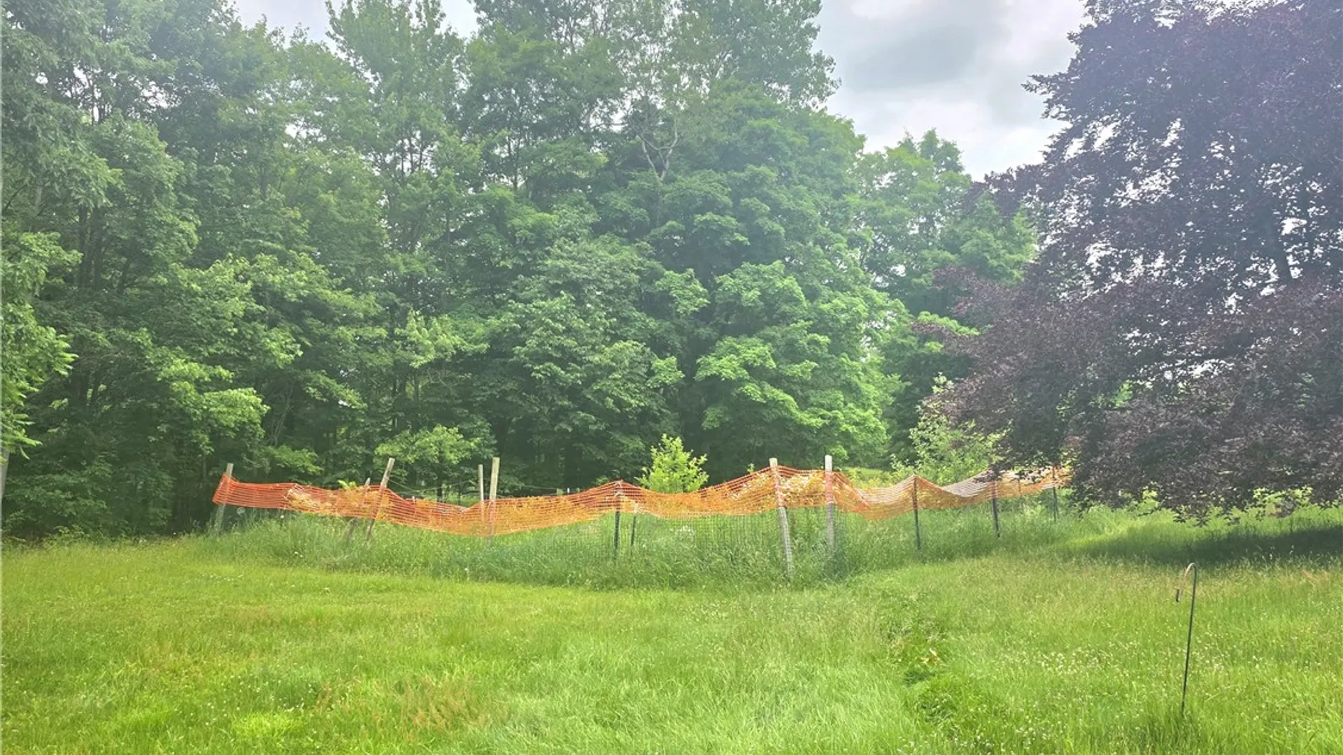 Property at 171 Haskins Road, Erin, NY 14838 4
