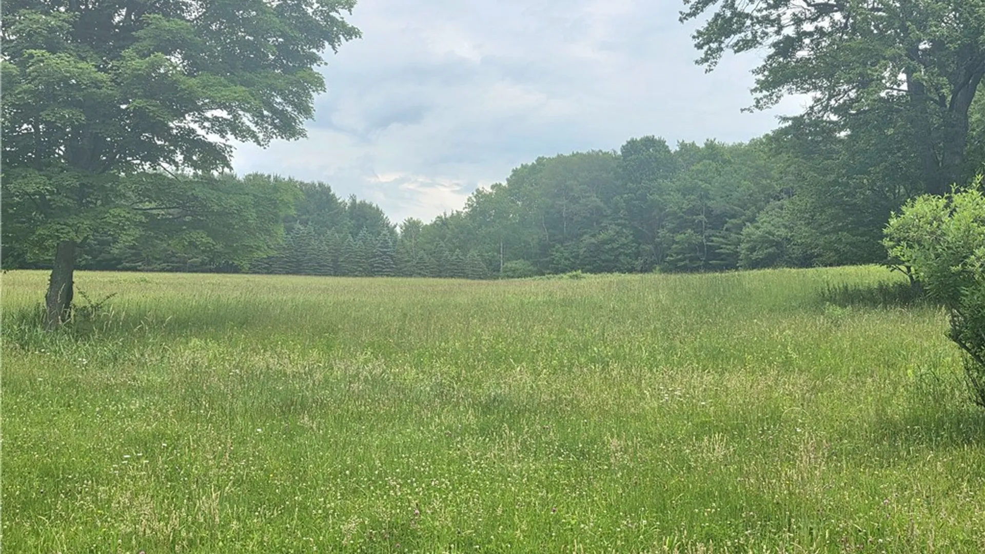 Property at 171 Haskins Road, Erin, NY 14838 7