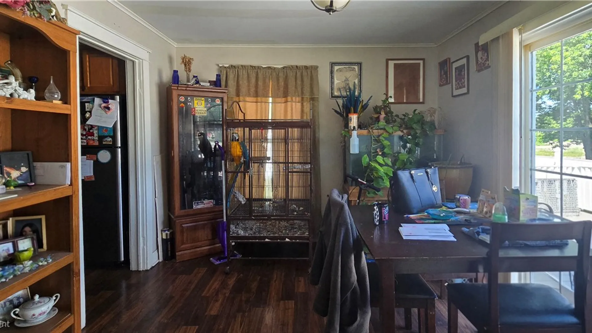 Property at 900 Erie Street, Elmira City, NY 14904 3
