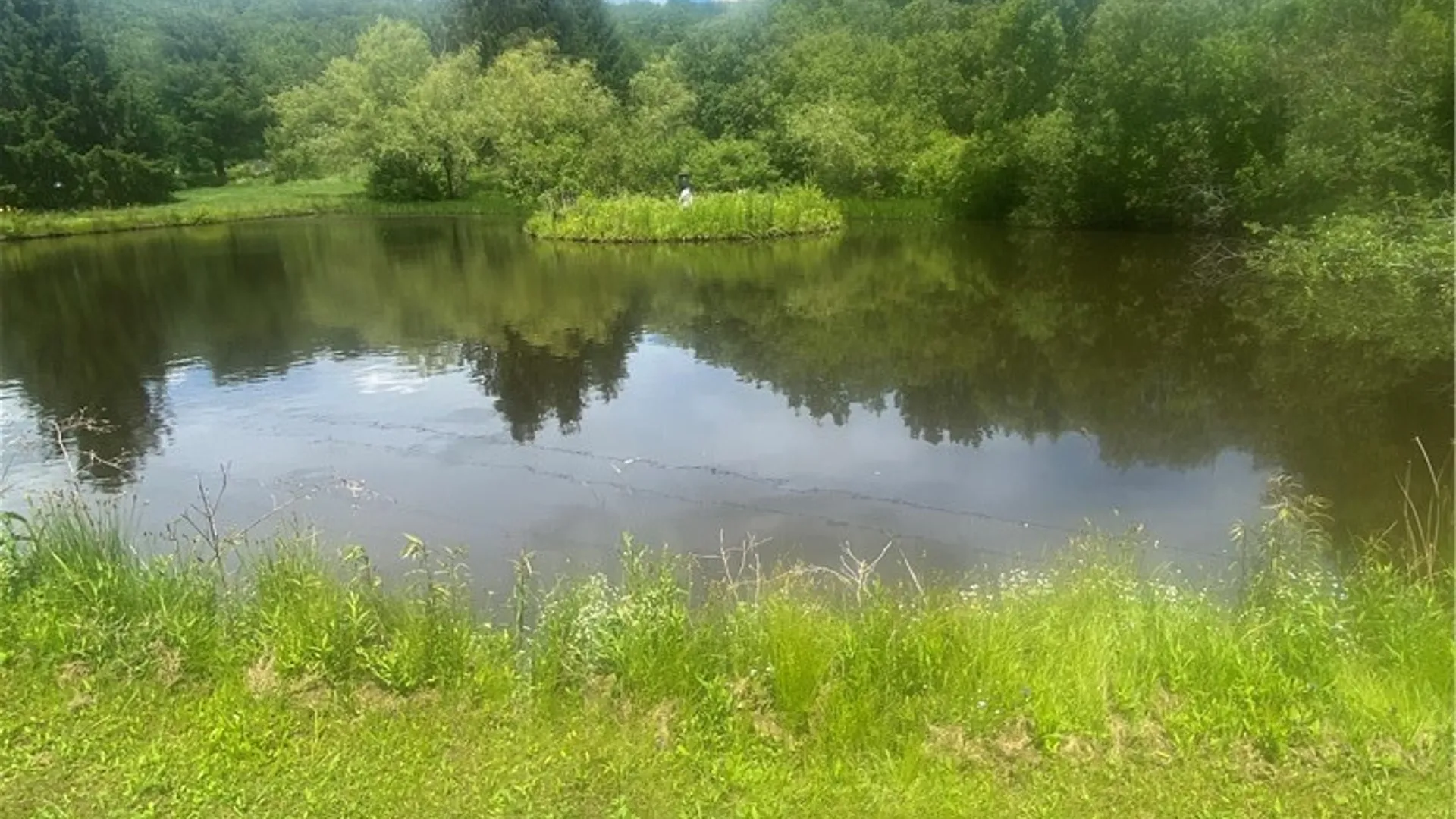 Property at 302 Churchill Road, Jefferson, NY 12093 32