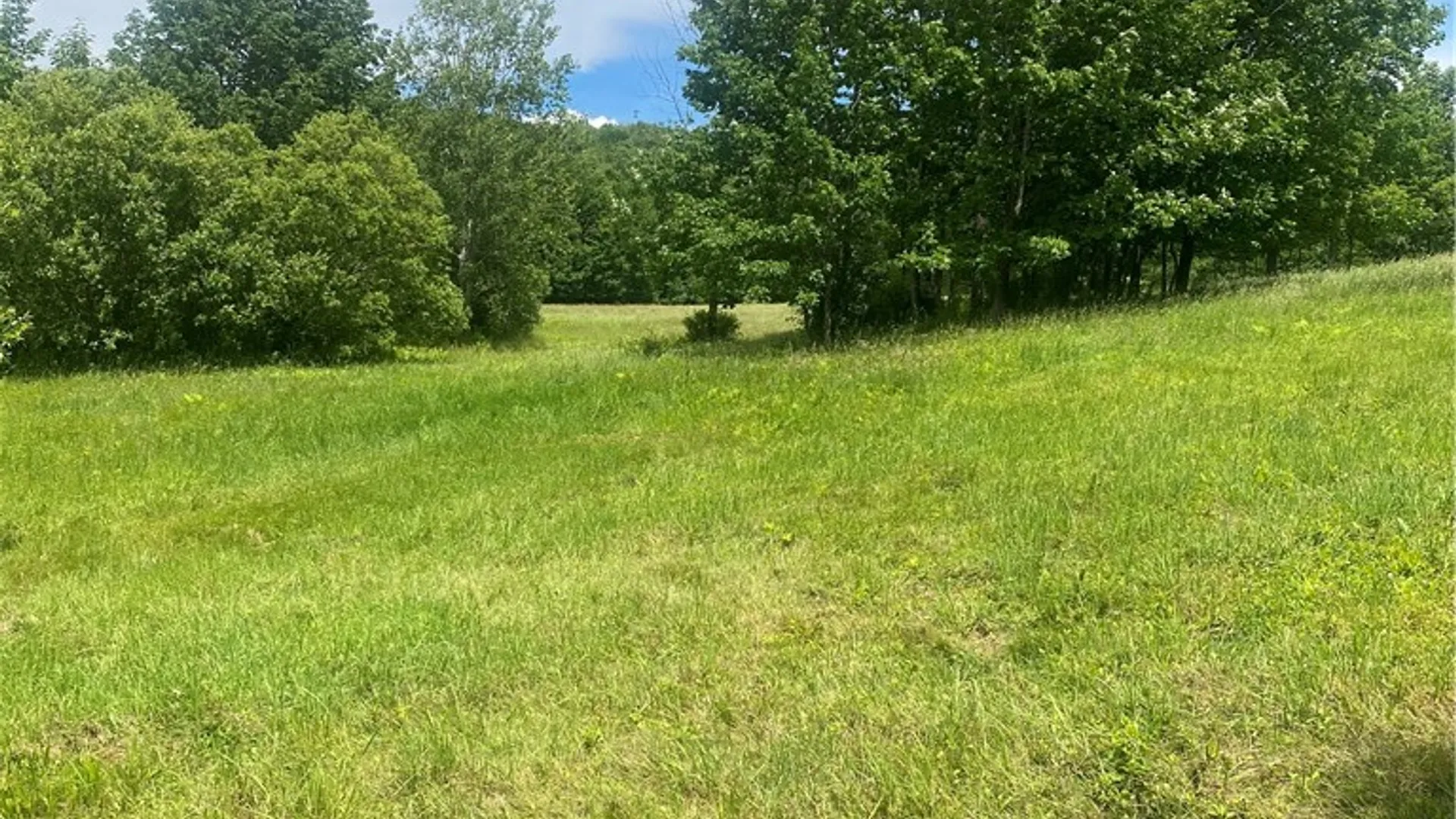 Property at 302 Churchill Road, Jefferson, NY 12093 33