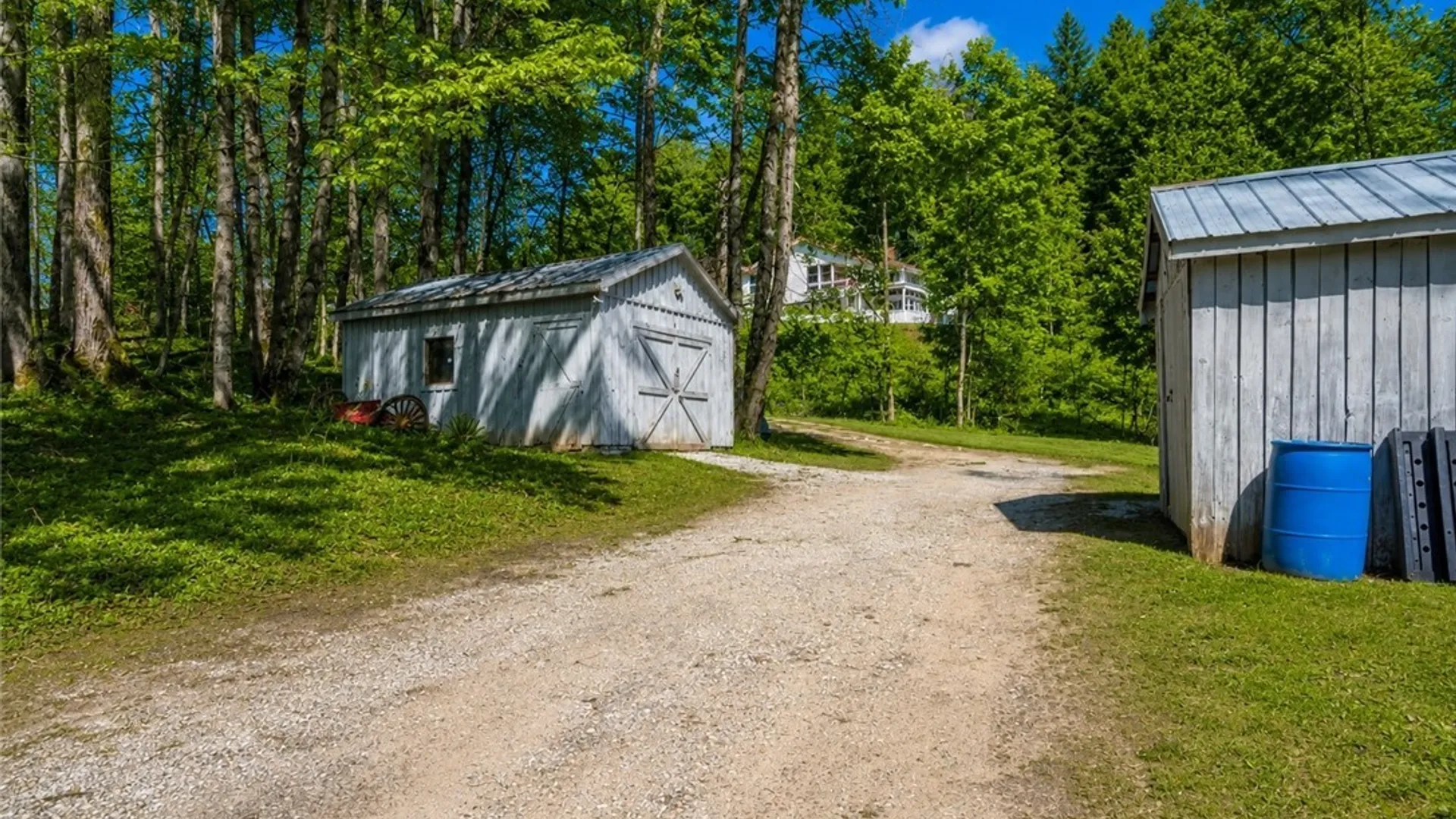Property at 14119 Thomas Road, Diana, NY 13648 8