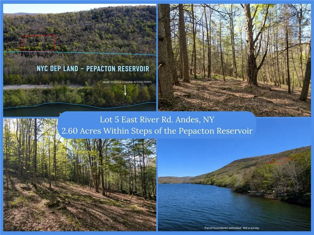 Property at Lot 5 East River Road, Andes, NY 13731