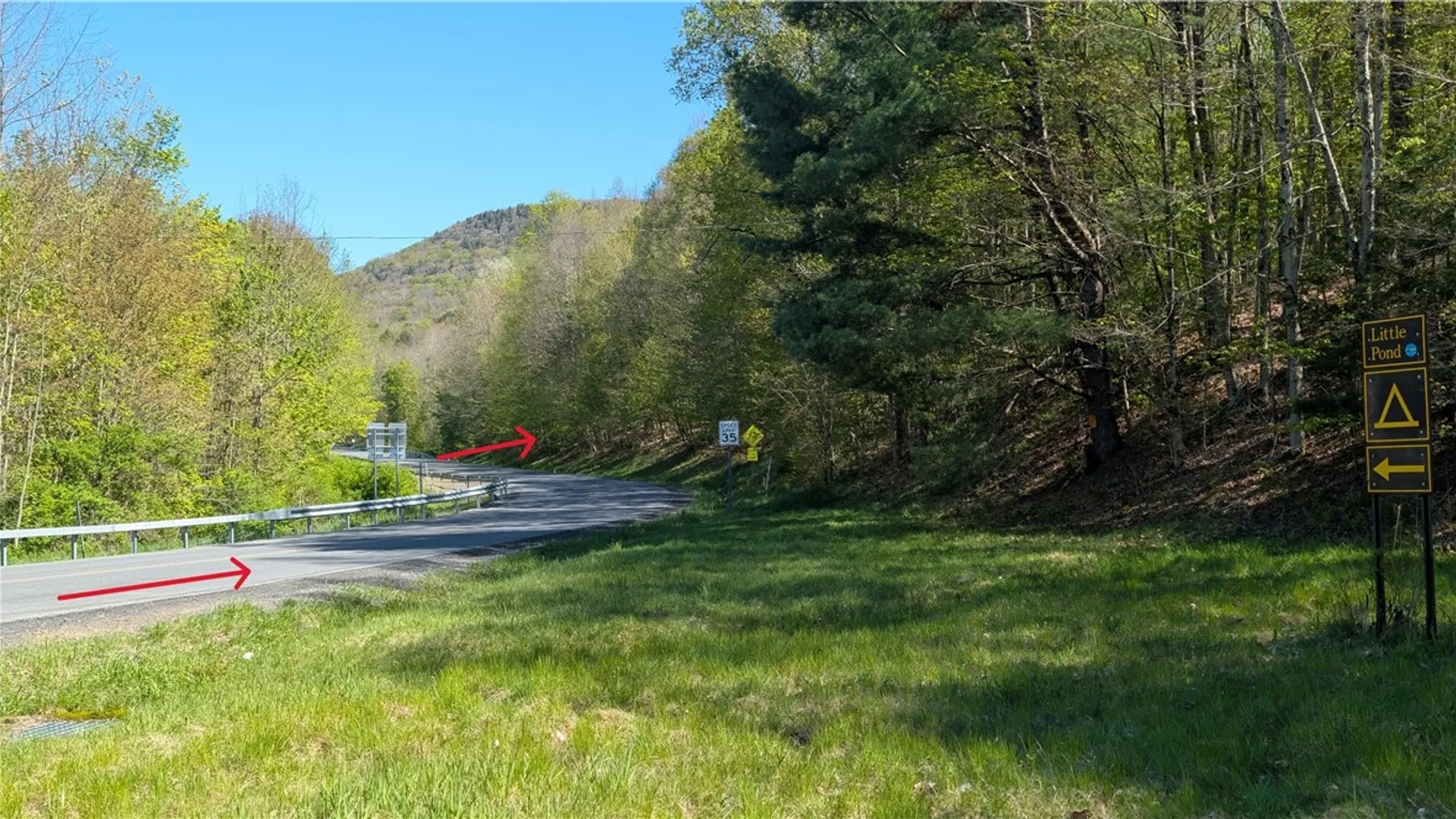 Property at Lot 5 East River Road, Andes, NY 13731 13