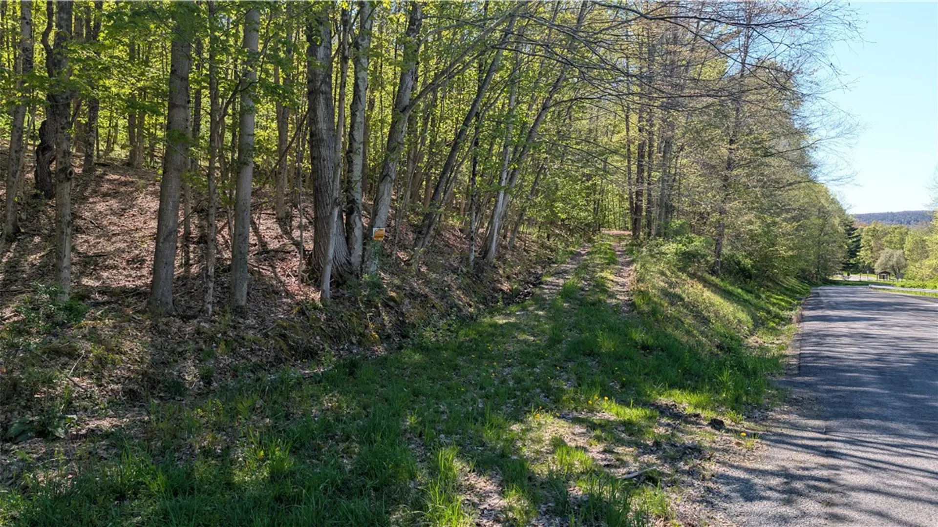 Property at Lot 5 East River Road, Andes, NY 13731 15