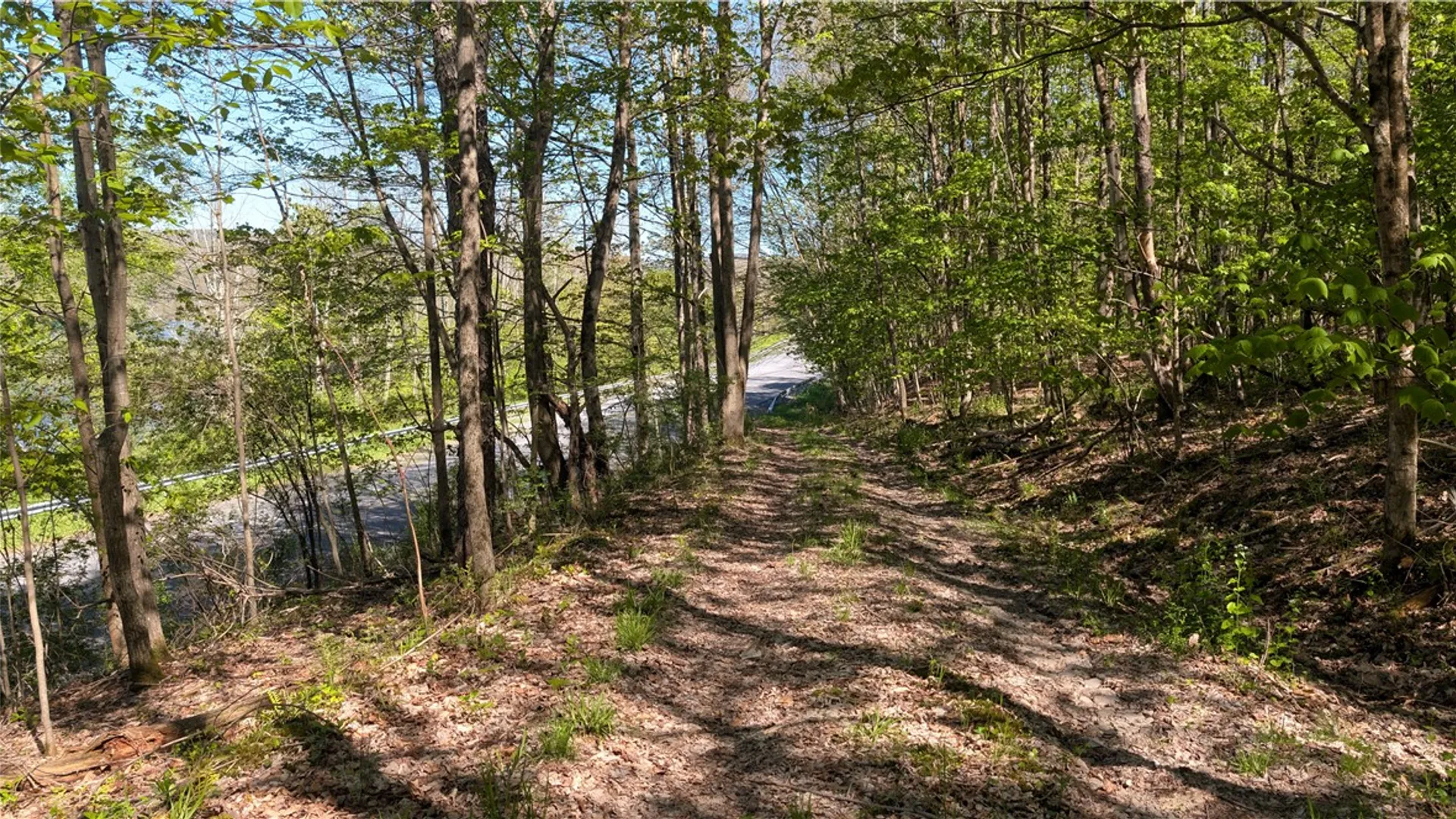 Property at Lot 5 East River Road, Andes, NY 13731 16
