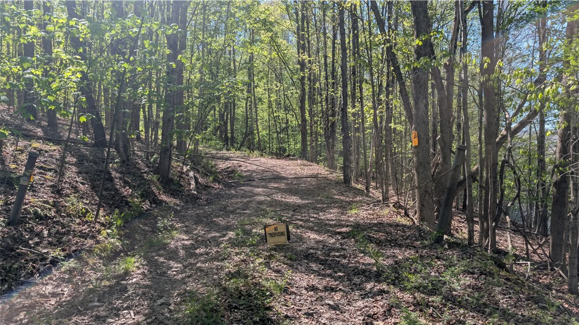 Property at Lot 5 East River Road, Andes, NY 13731 17