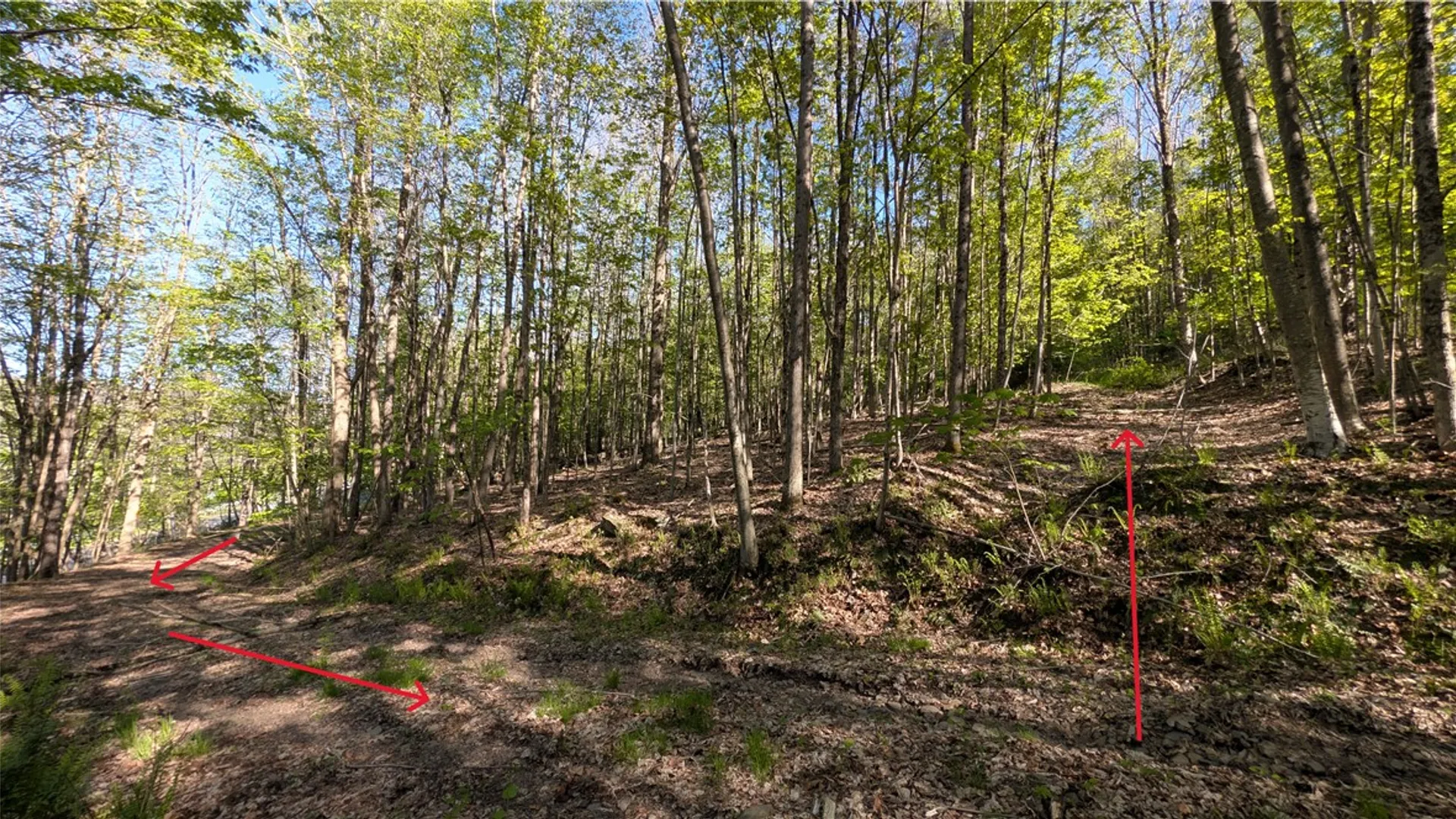 Property at Lot 5 East River Road, Andes, NY 13731 18