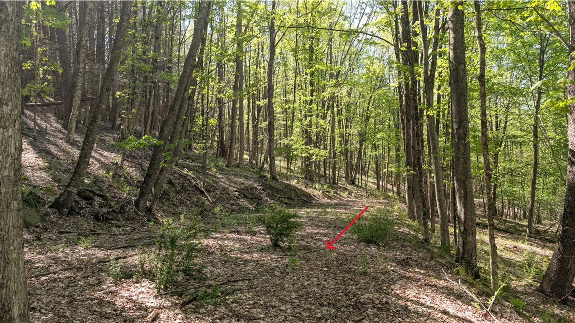 Property at Lot 5 East River Road, Andes, NY 13731 19
