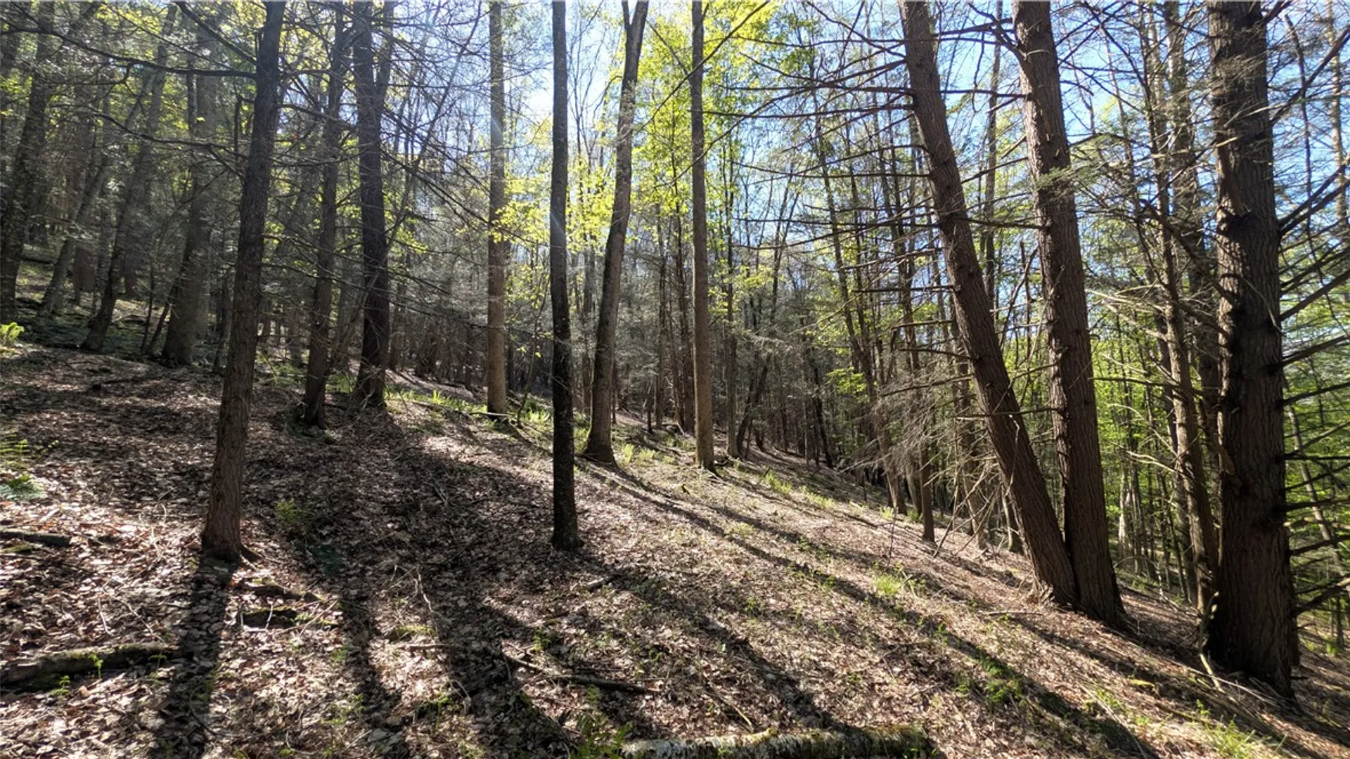 Property at Lot 5 East River Road, Andes, NY 13731 20