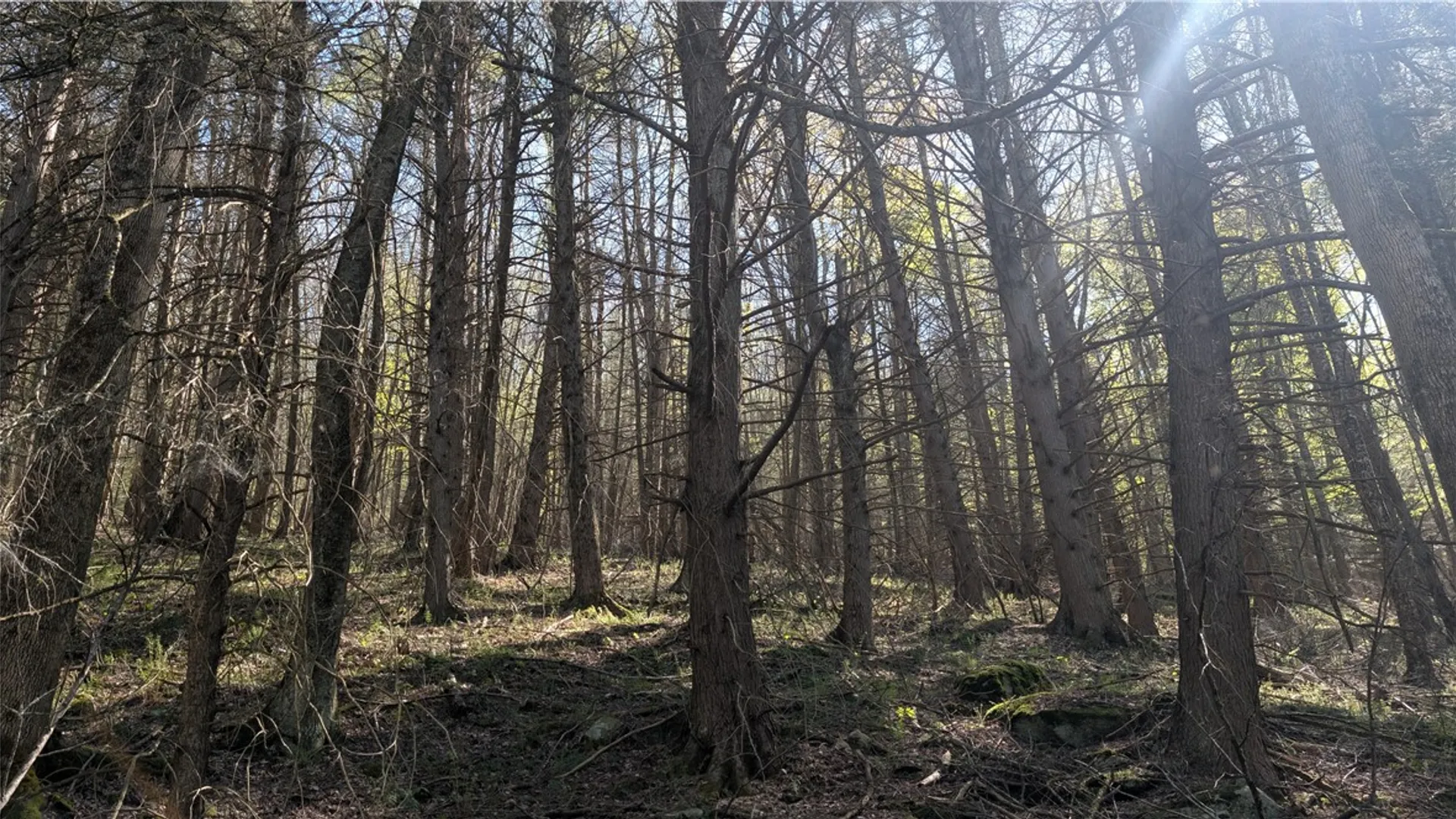 Property at Lot 5 East River Road, Andes, NY 13731 21
