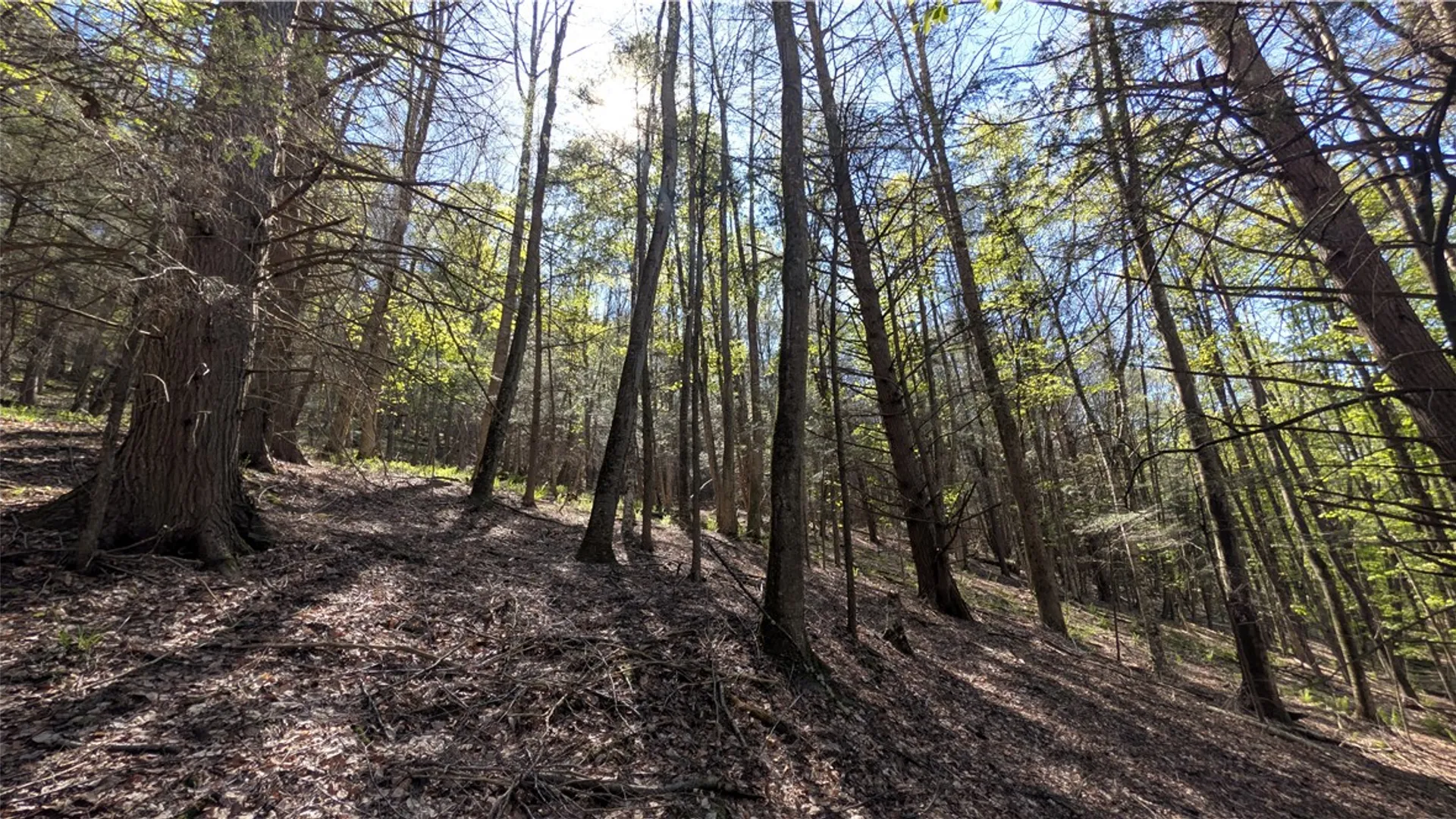 Property at Lot 5 East River Road, Andes, NY 13731 22