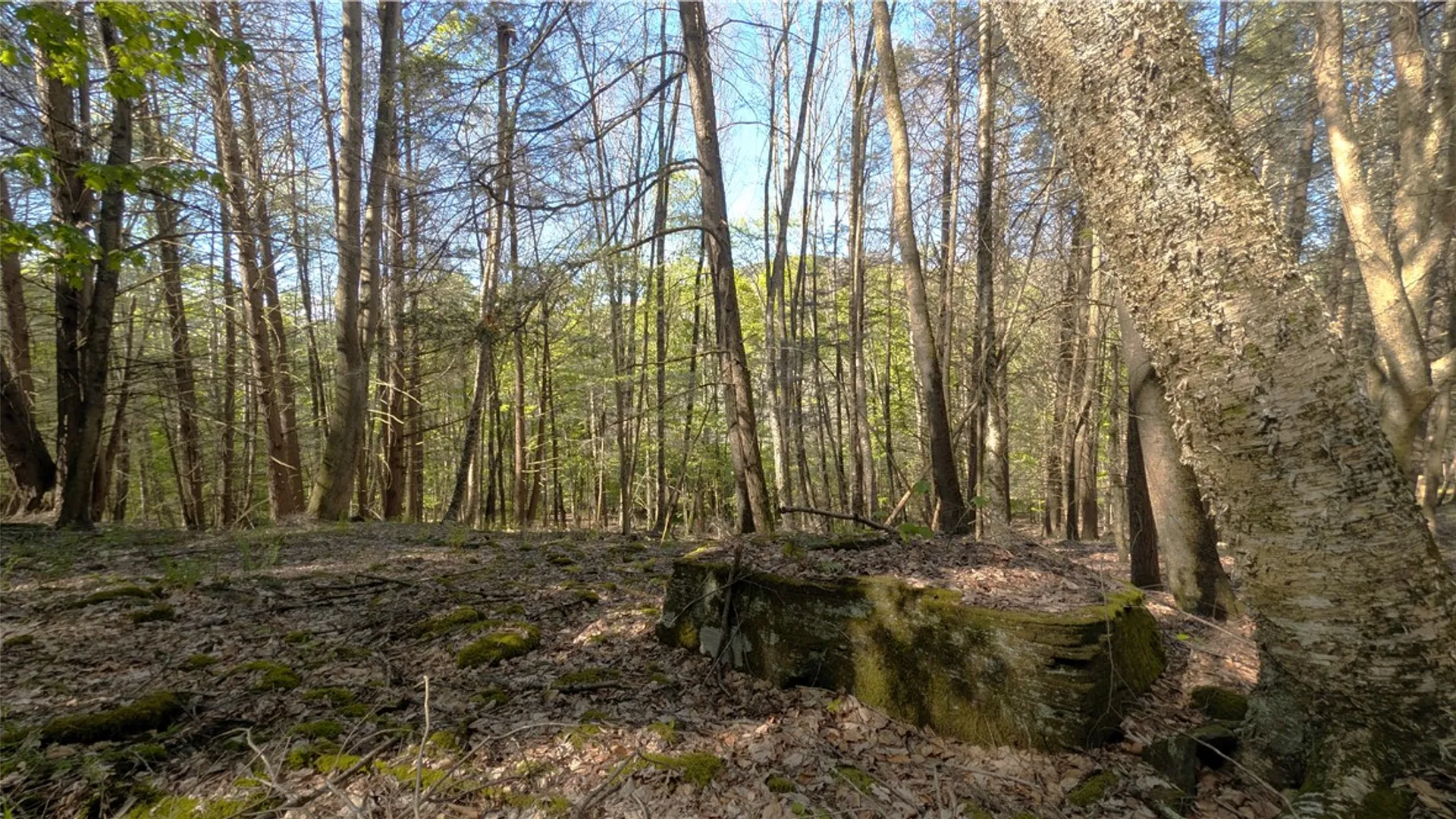 Property at Lot 5 East River Road, Andes, NY 13731 24