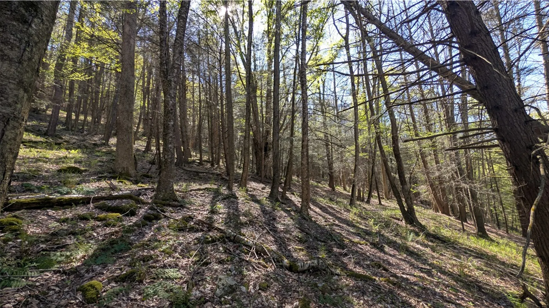 Property at Lot 5 East River Road, Andes, NY 13731 25