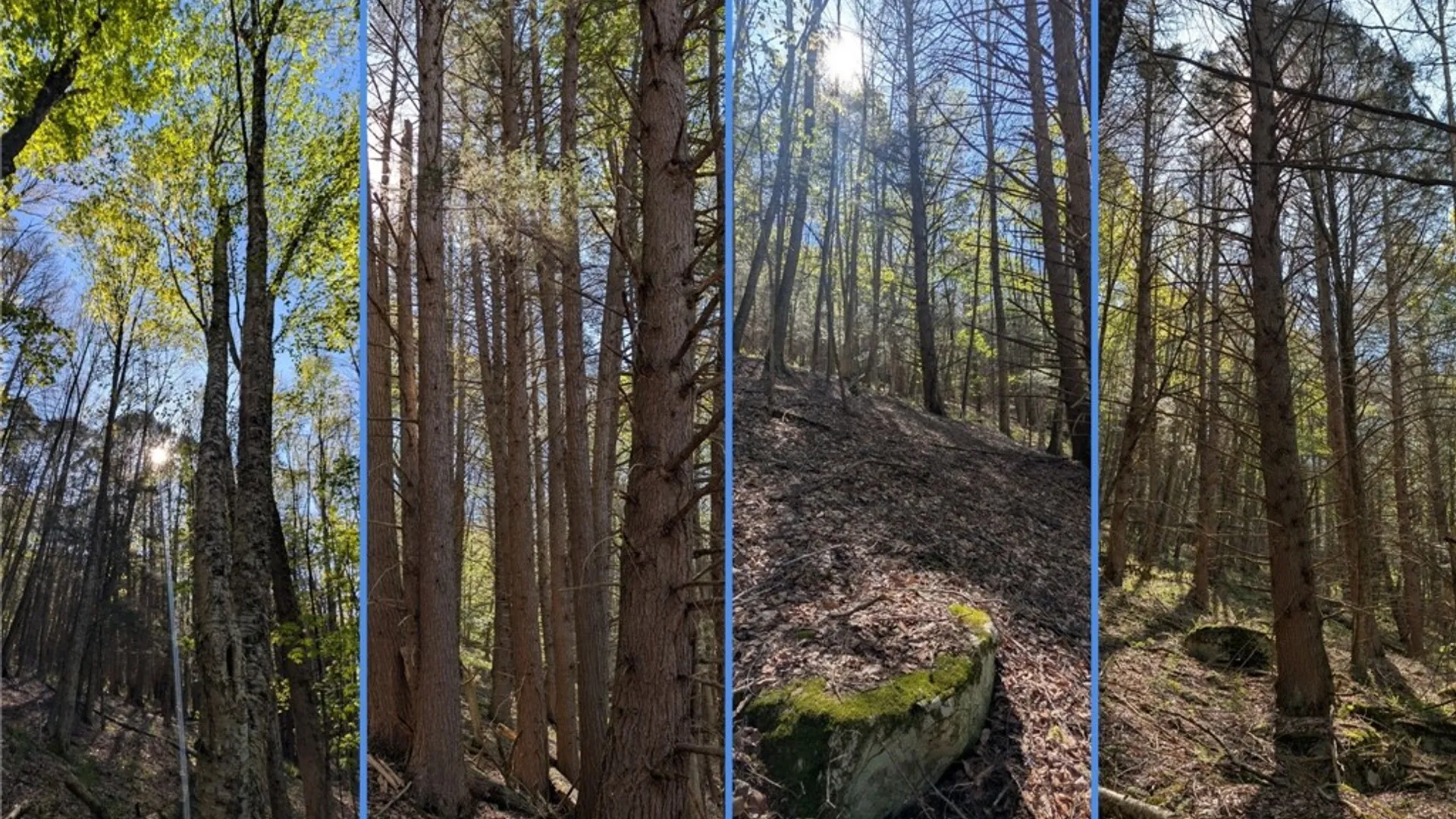 Property at Lot 5 East River Road, Andes, NY 13731 26
