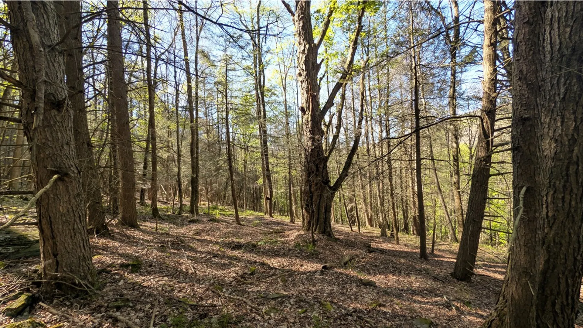 Property at Lot 5 East River Road, Andes, NY 13731 27
