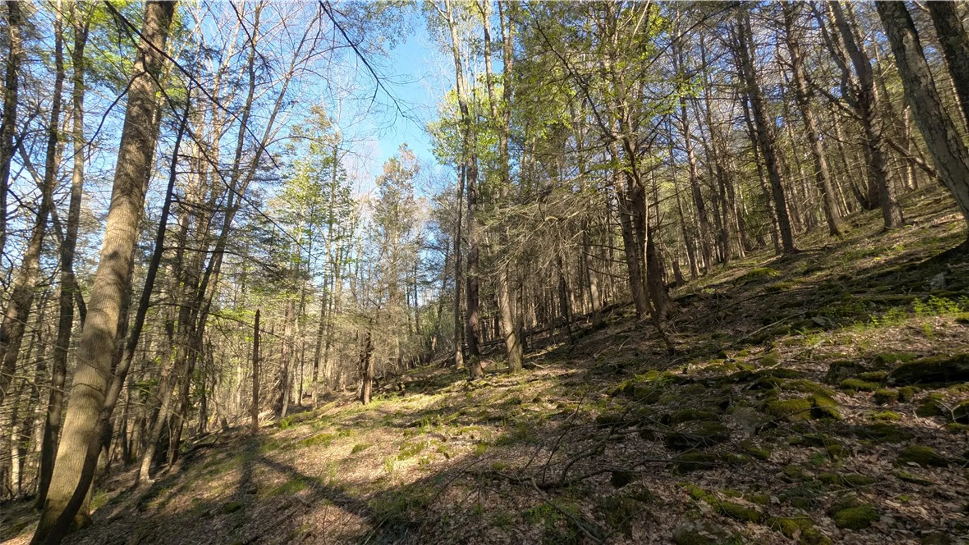 Property at Lot 5 East River Road, Andes, NY 13731 28