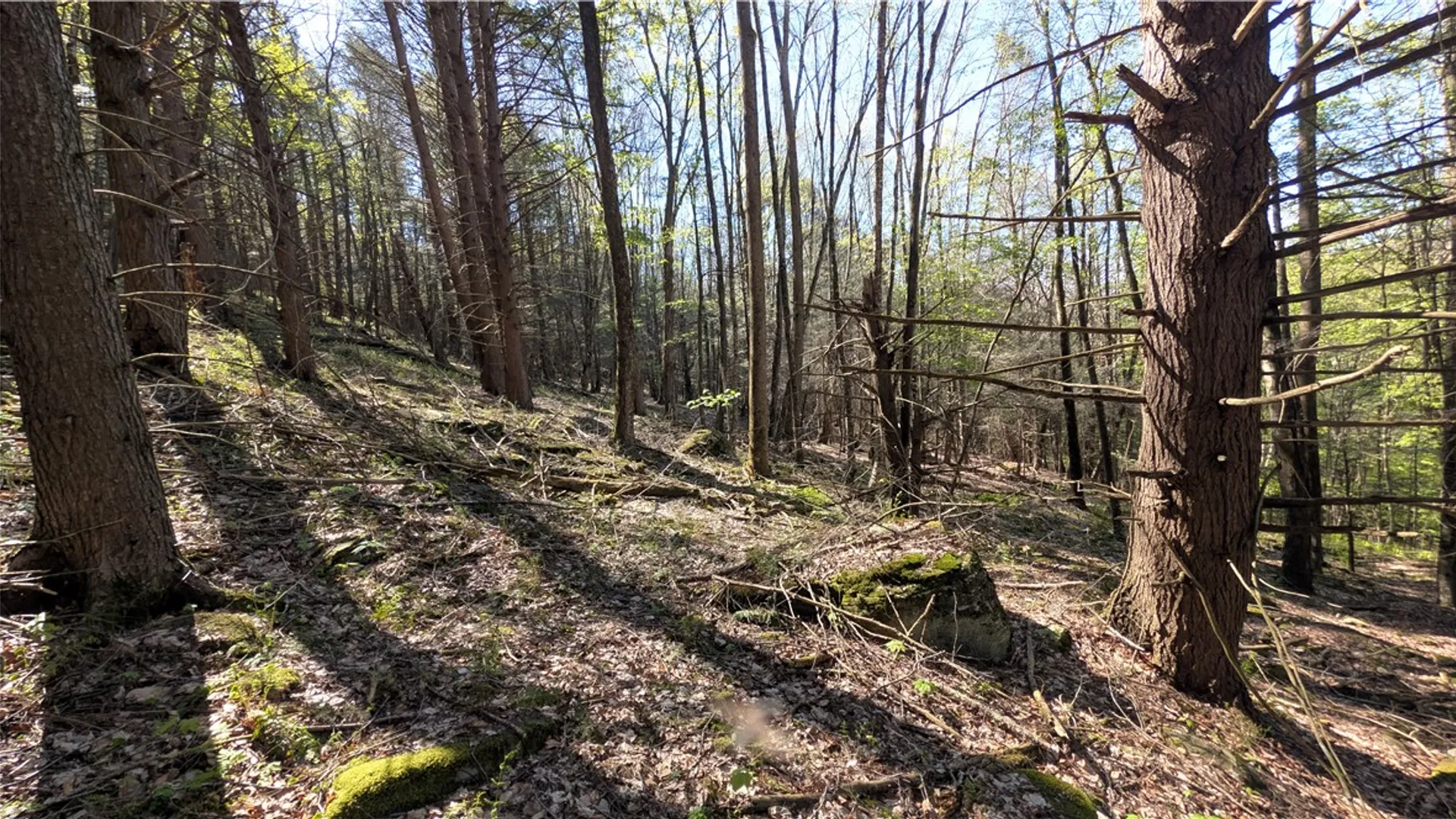 Property at Lot 5 East River Road, Andes, NY 13731 29