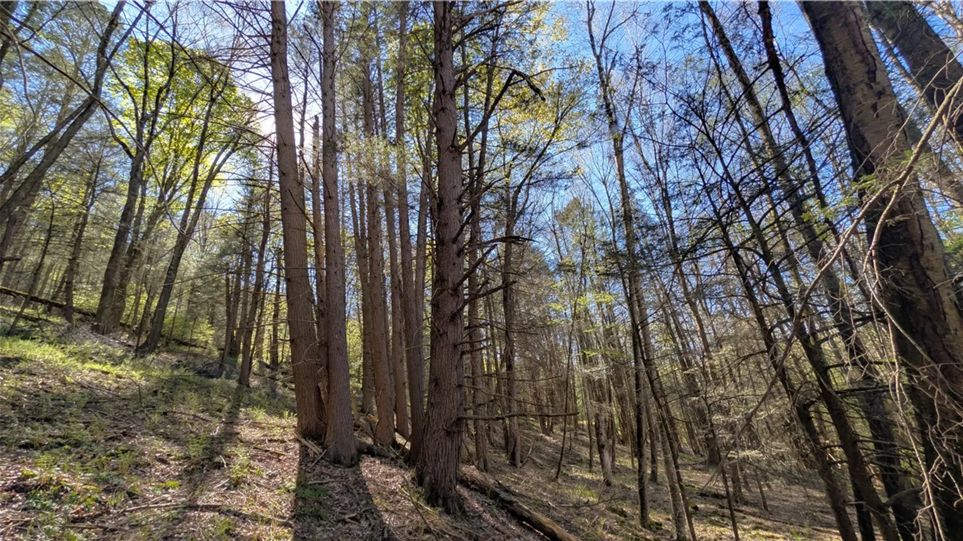 Property at Lot 5 East River Road, Andes, NY 13731 30