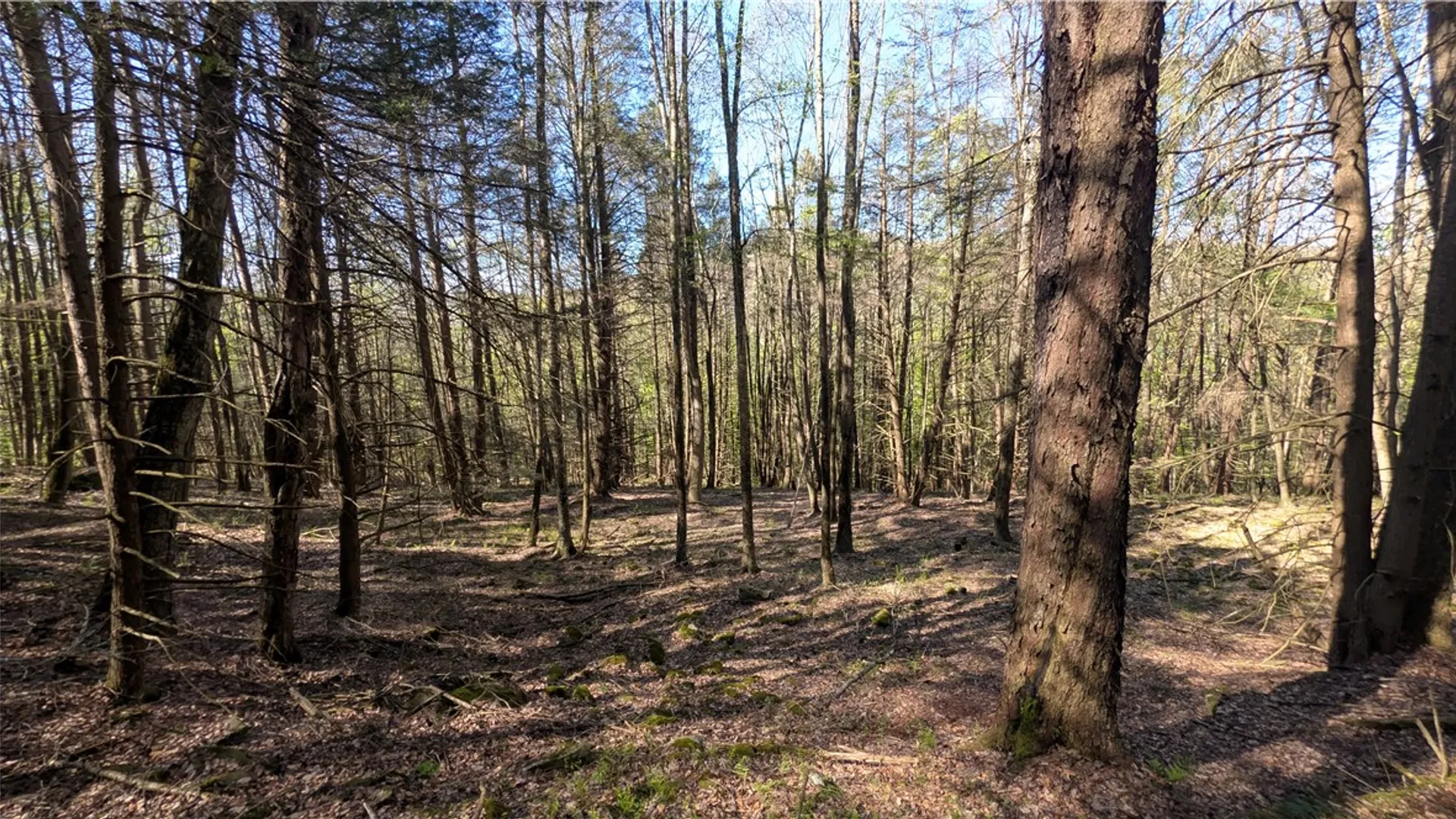 Property at Lot 5 East River Road, Andes, NY 13731 31