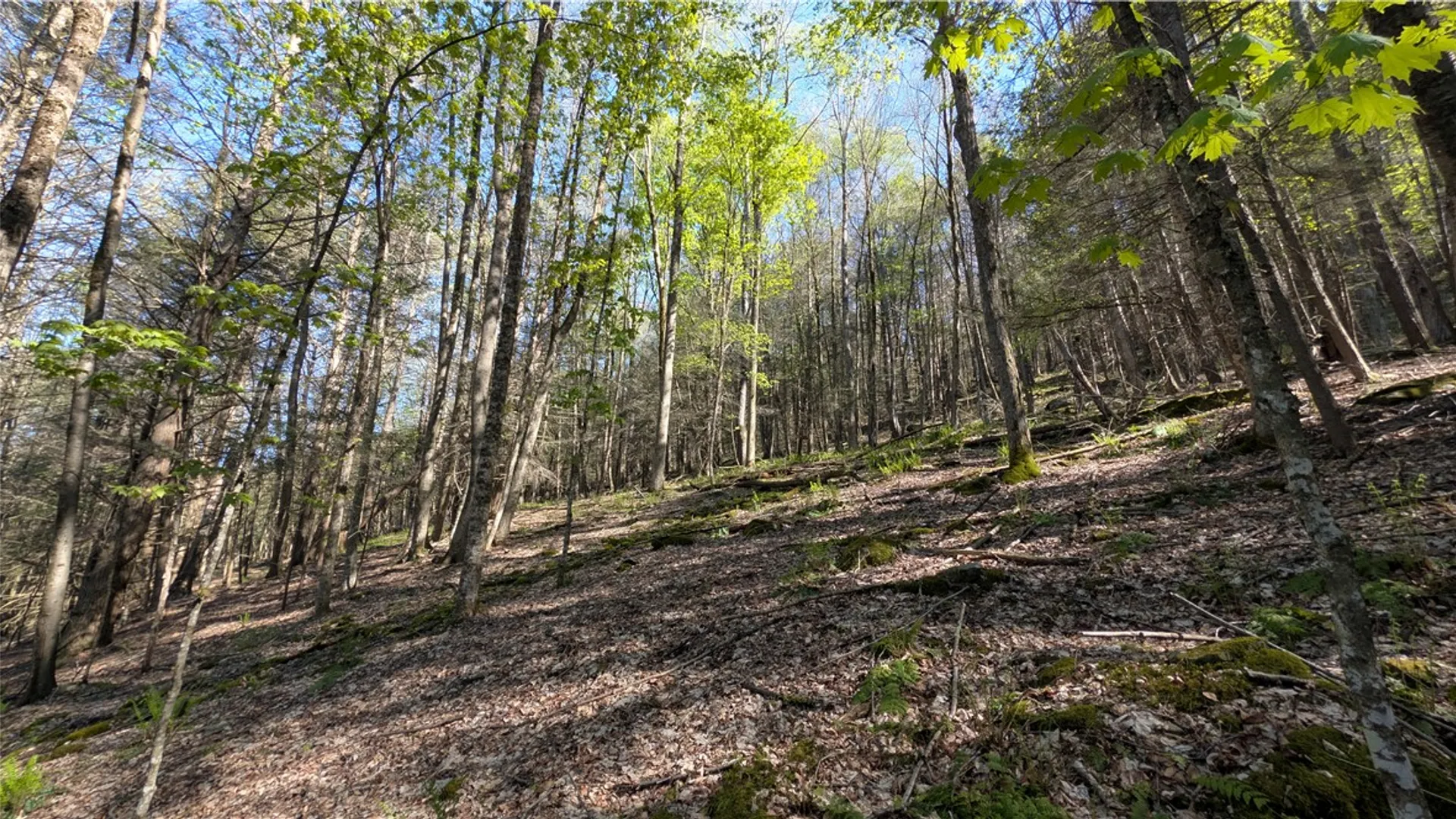 Property at Lot 5 East River Road, Andes, NY 13731 32