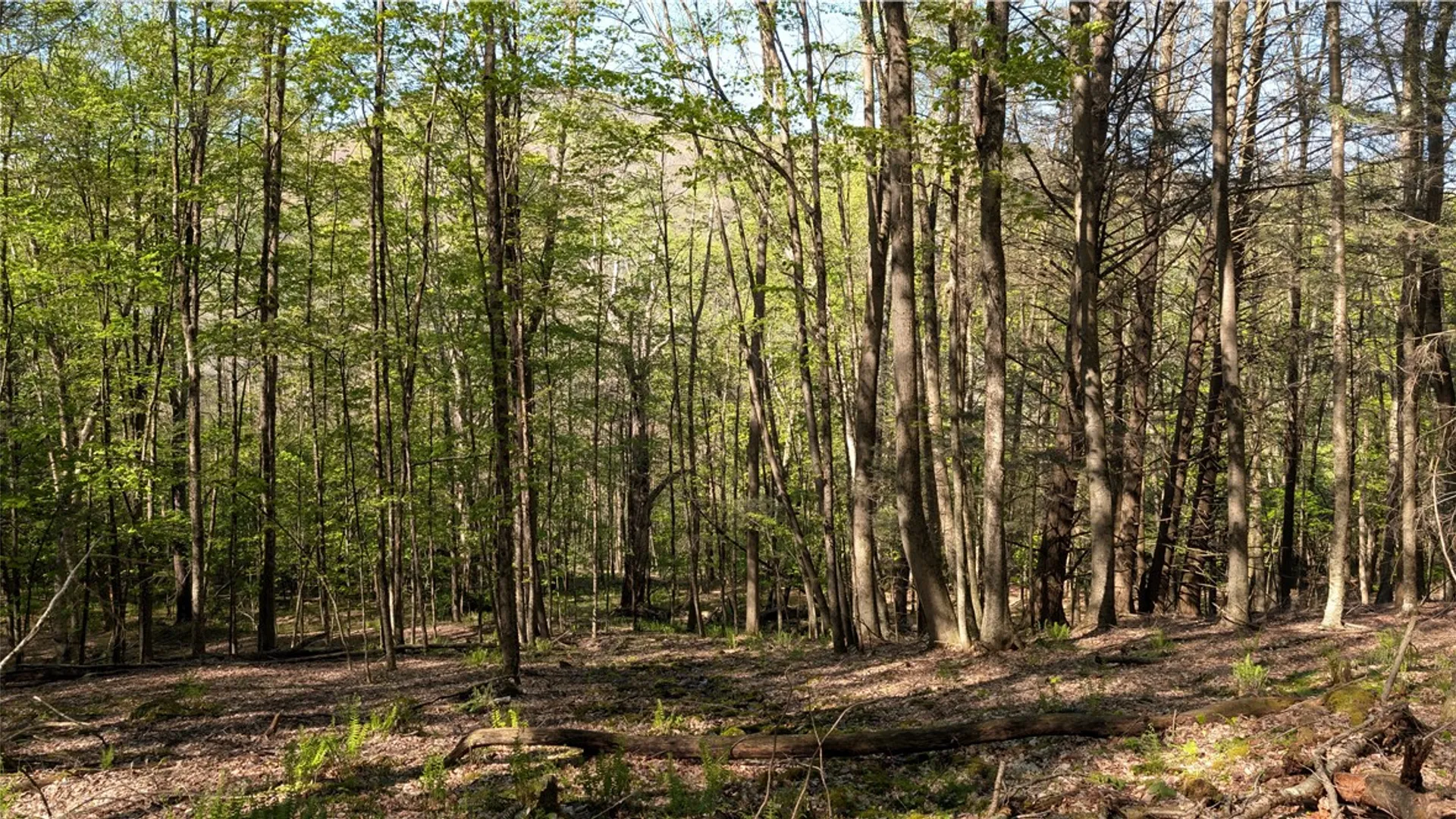 Property at Lot 5 East River Road, Andes, NY 13731 33