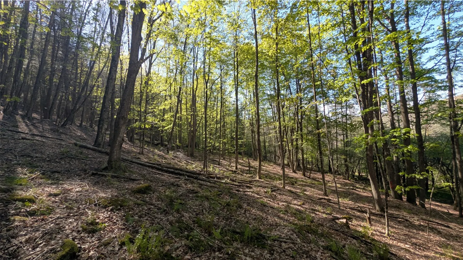 Property at Lot 5 East River Road, Andes, NY 13731 34