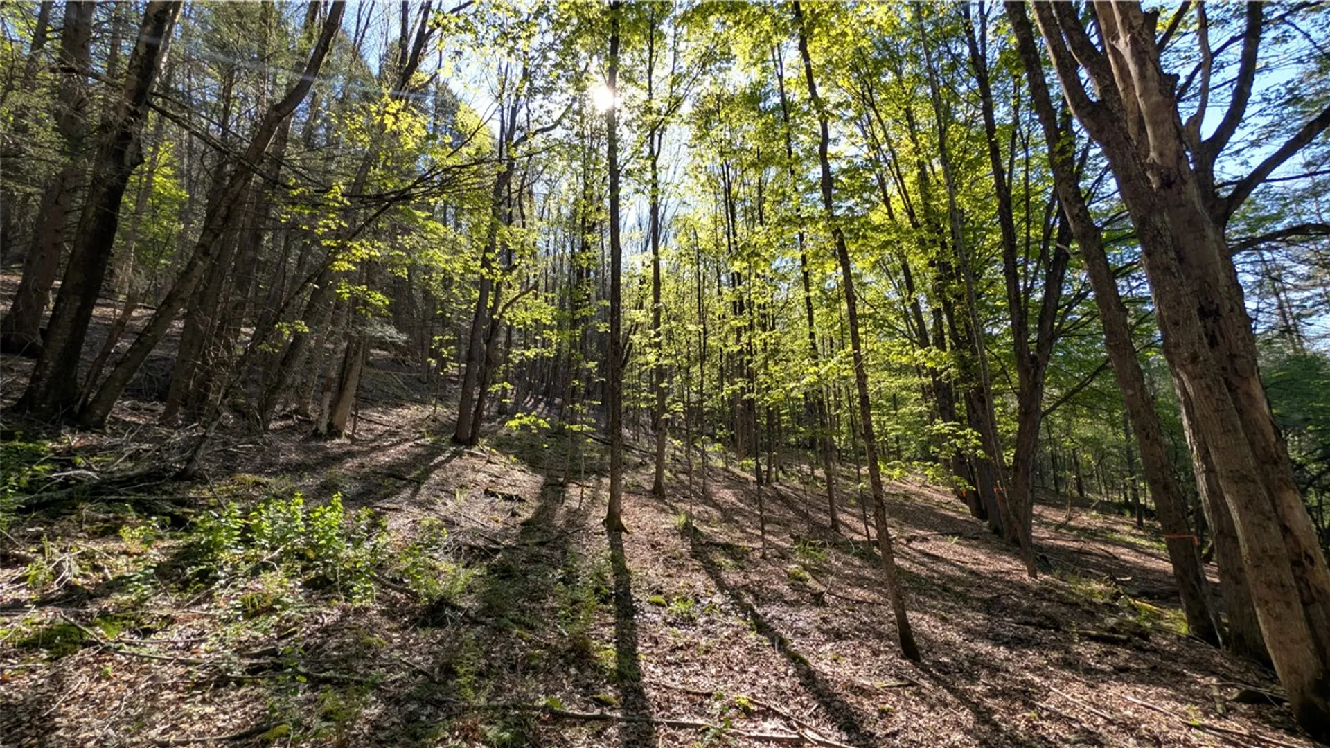 Property at Lot 5 East River Road, Andes, NY 13731 35