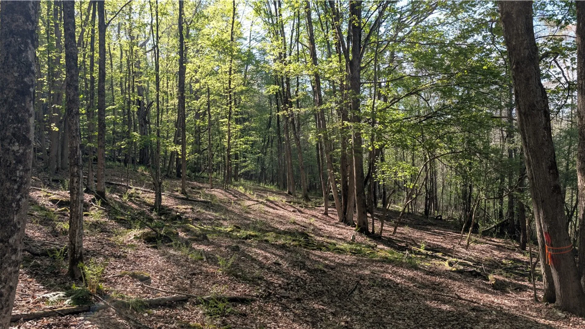 Property at Lot 5 East River Road, Andes, NY 13731 36