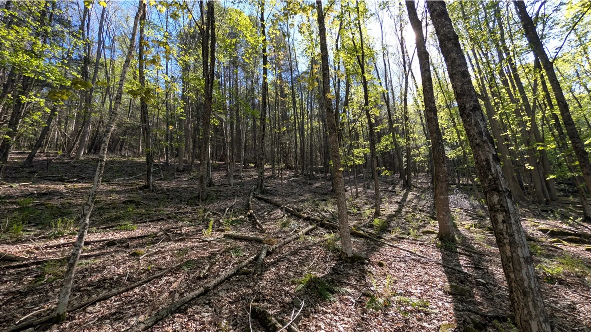 Property at Lot 5 East River Road, Andes, NY 13731 37