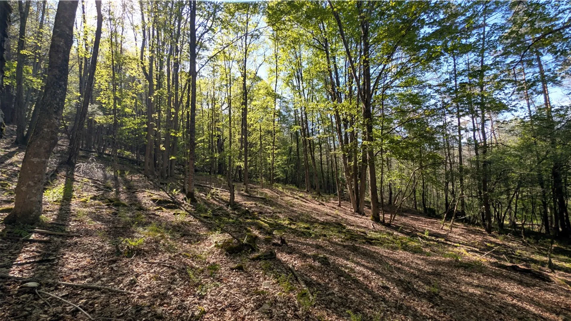 Property at Lot 5 East River Road, Andes, NY 13731 38