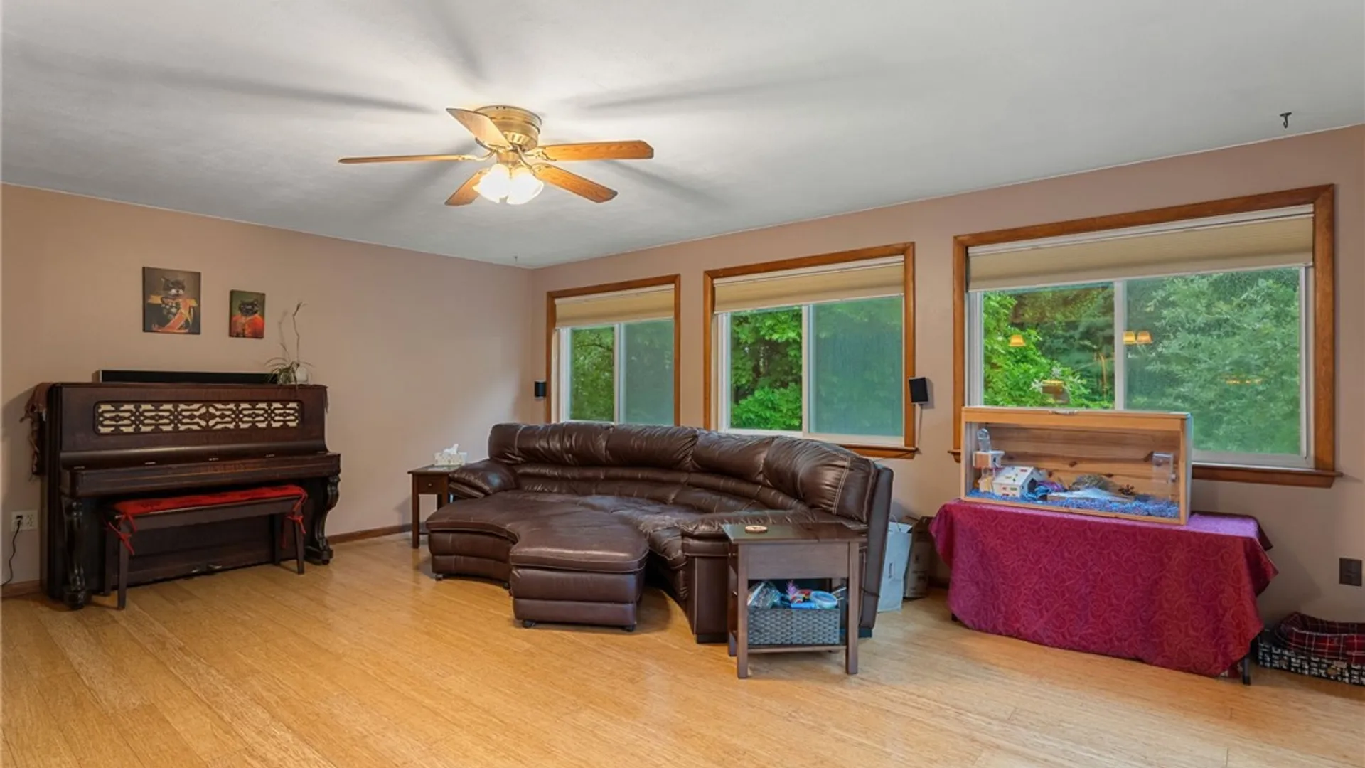 Property at 211 Muriel Street, Ithaca Town, NY 14850 5